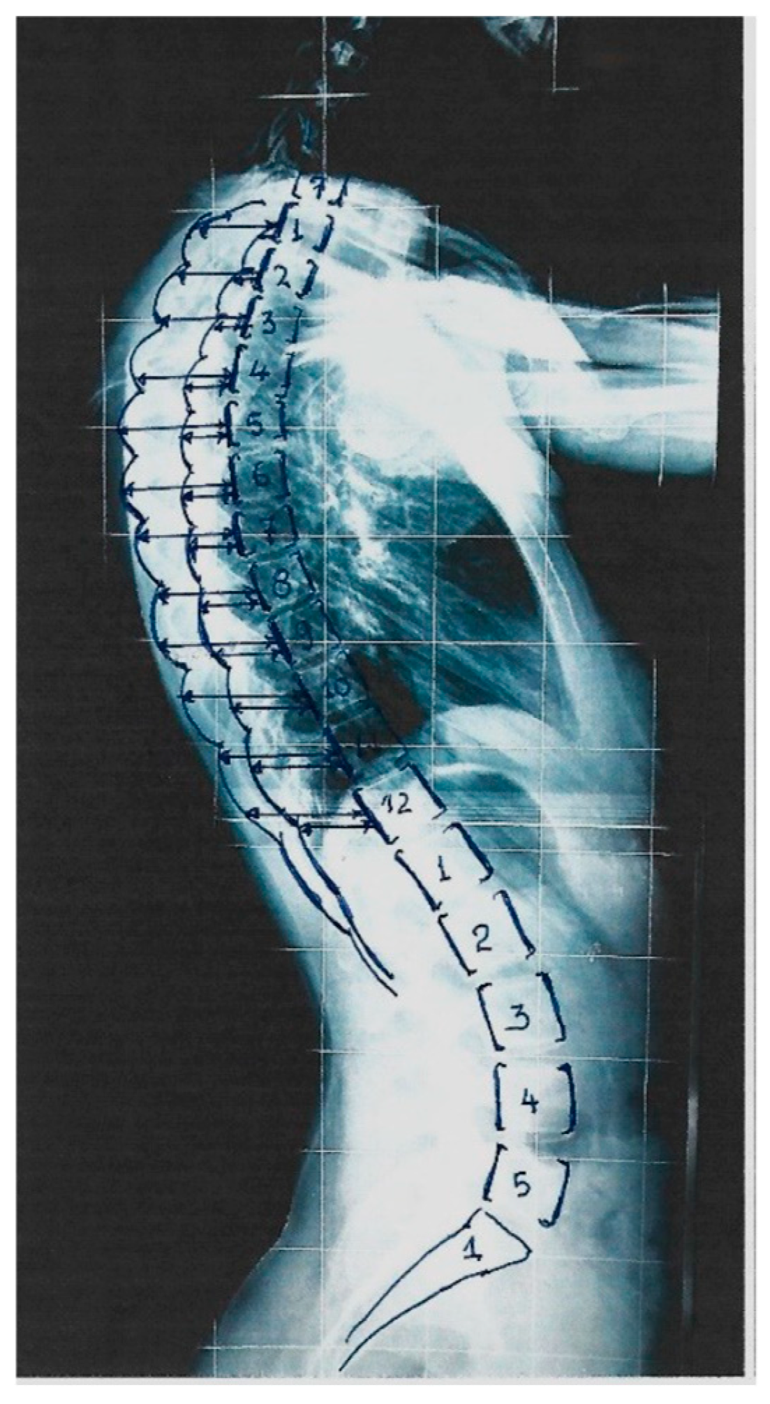 Healthcare 13 01014 g003