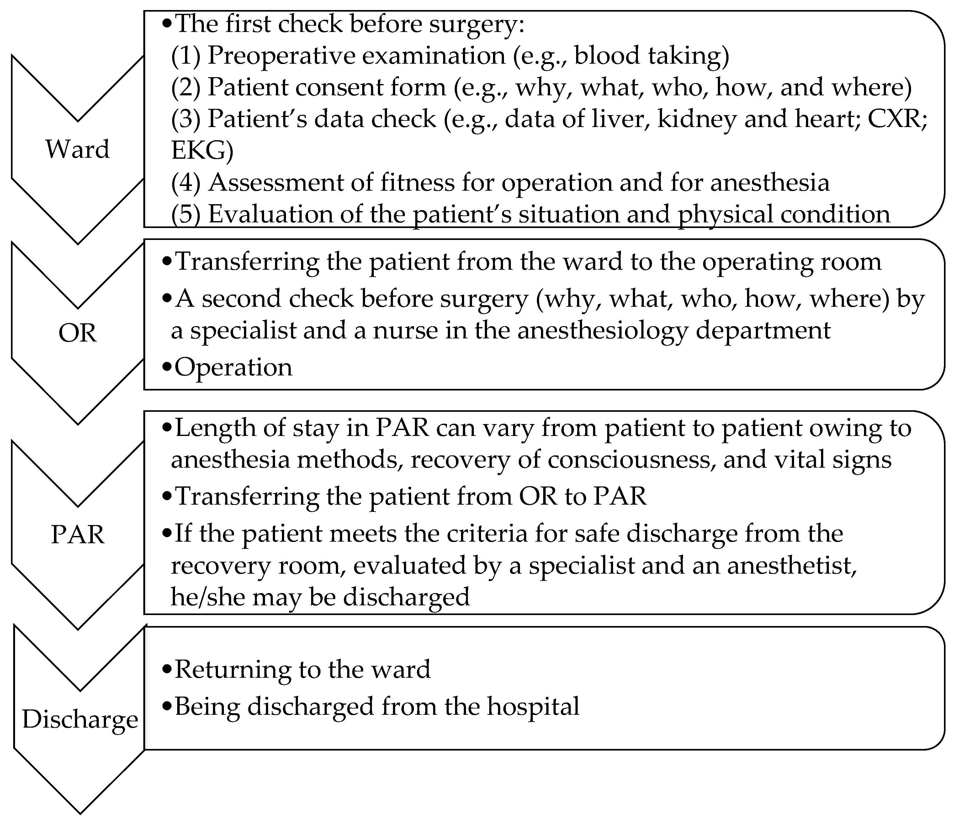 Healthcare 13 01024 g001 Healthcare 13 01024 g001