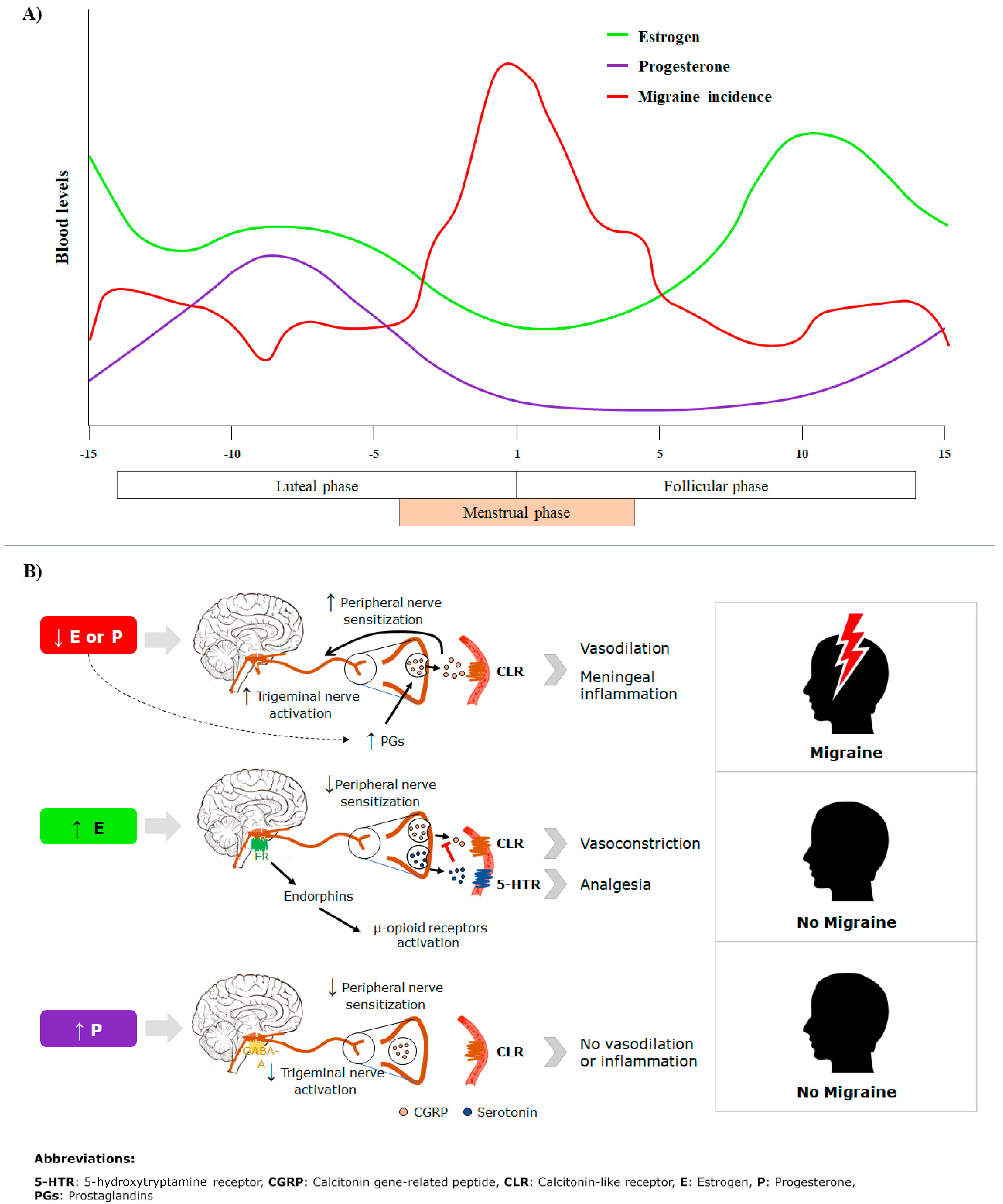 Healthcare 13 01032 g001