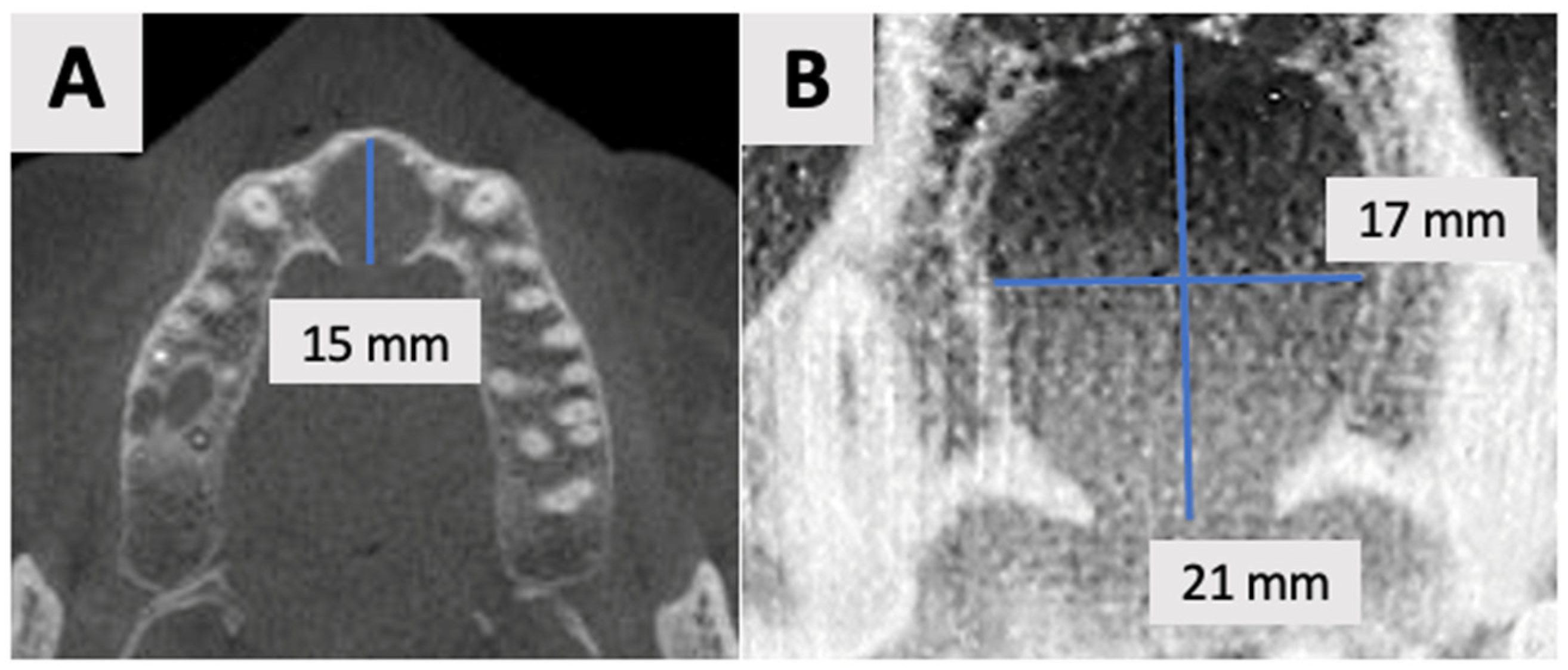 Healthcare 13 01068 g001 Healthcare 13 01068 g001