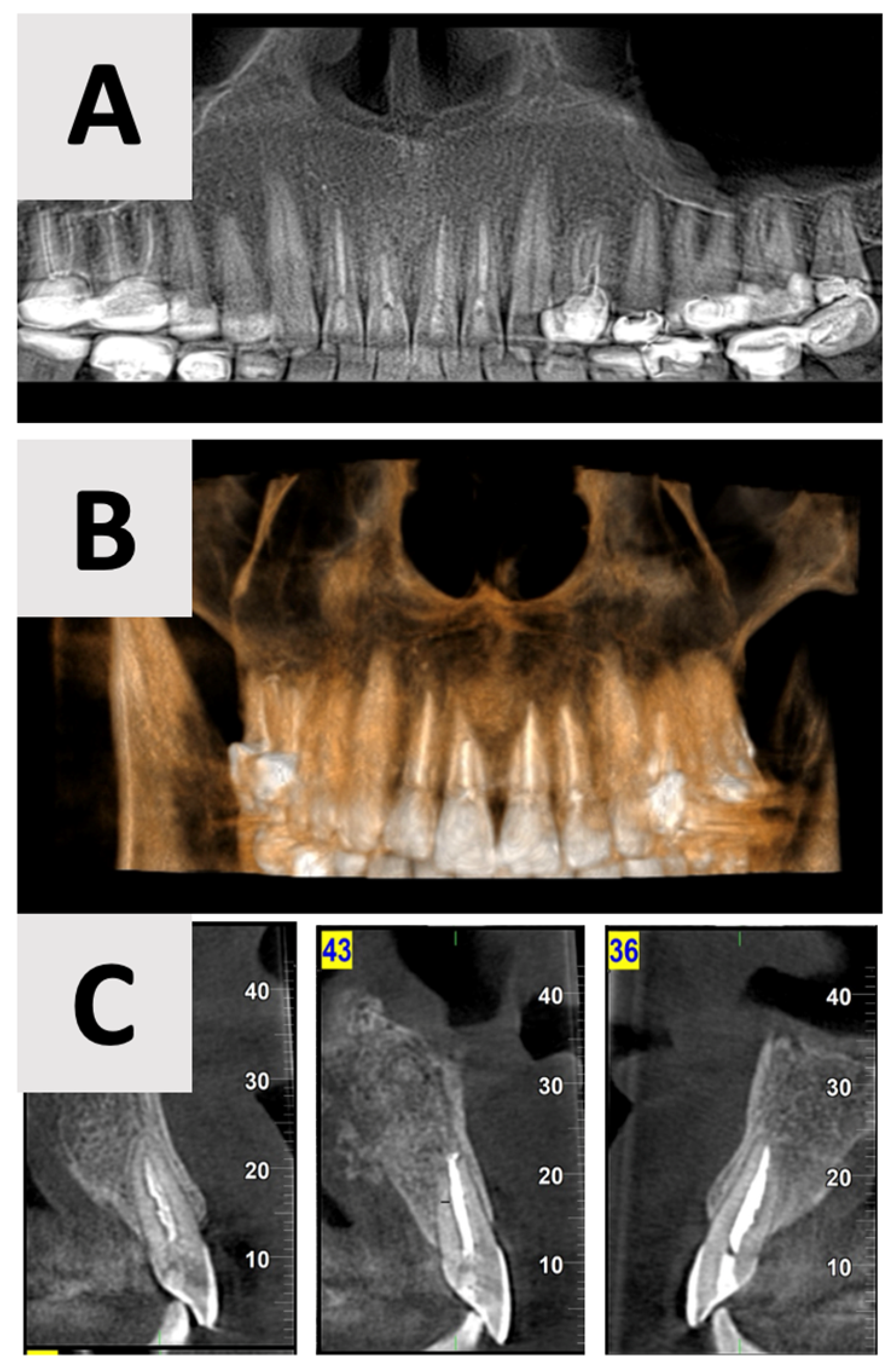 Healthcare 13 01068 g007 Healthcare 13 01068 g007