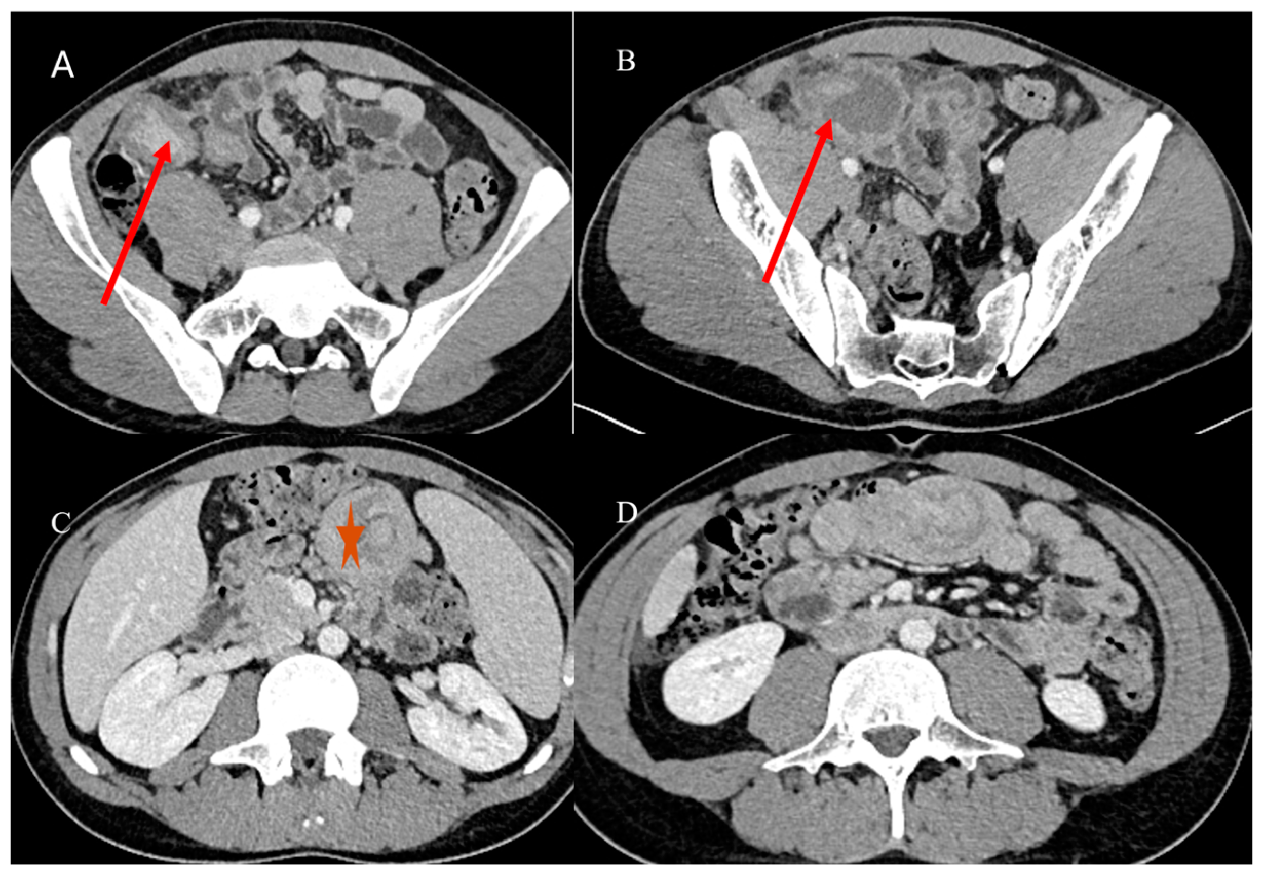 Healthcare 13 01071 g002