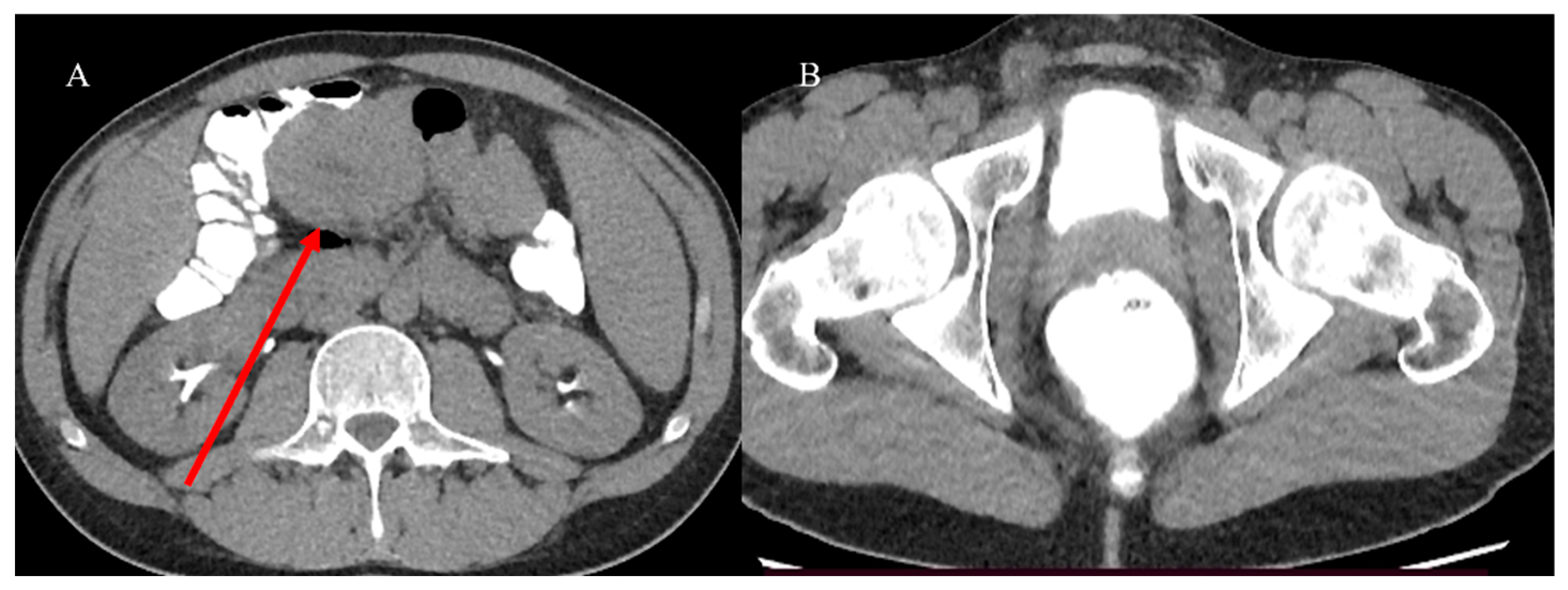 Healthcare 13 01071 g006