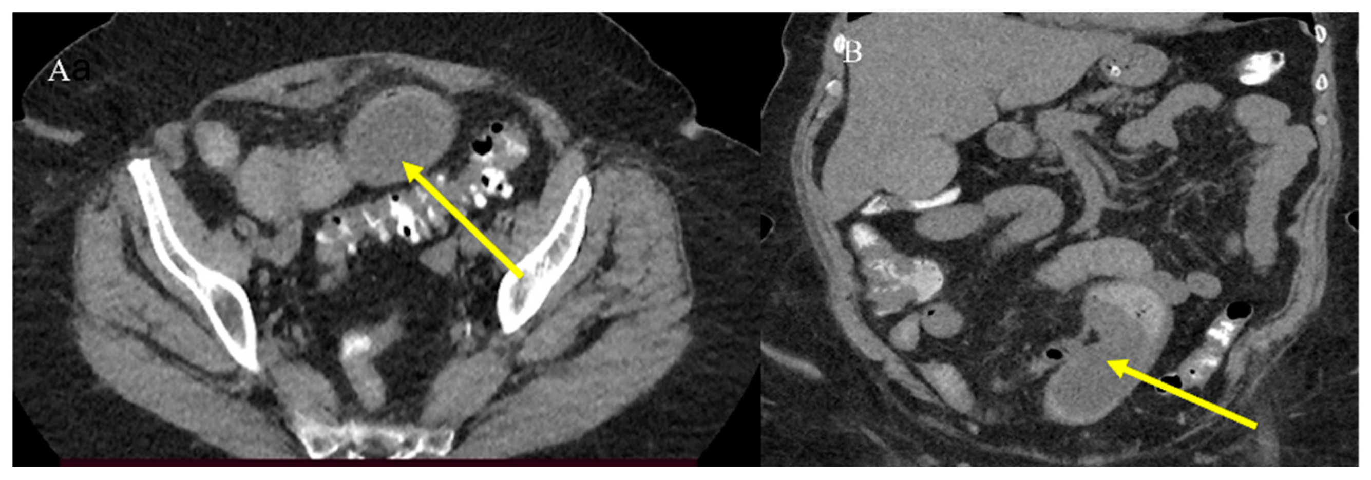 Healthcare 13 01071 g007
