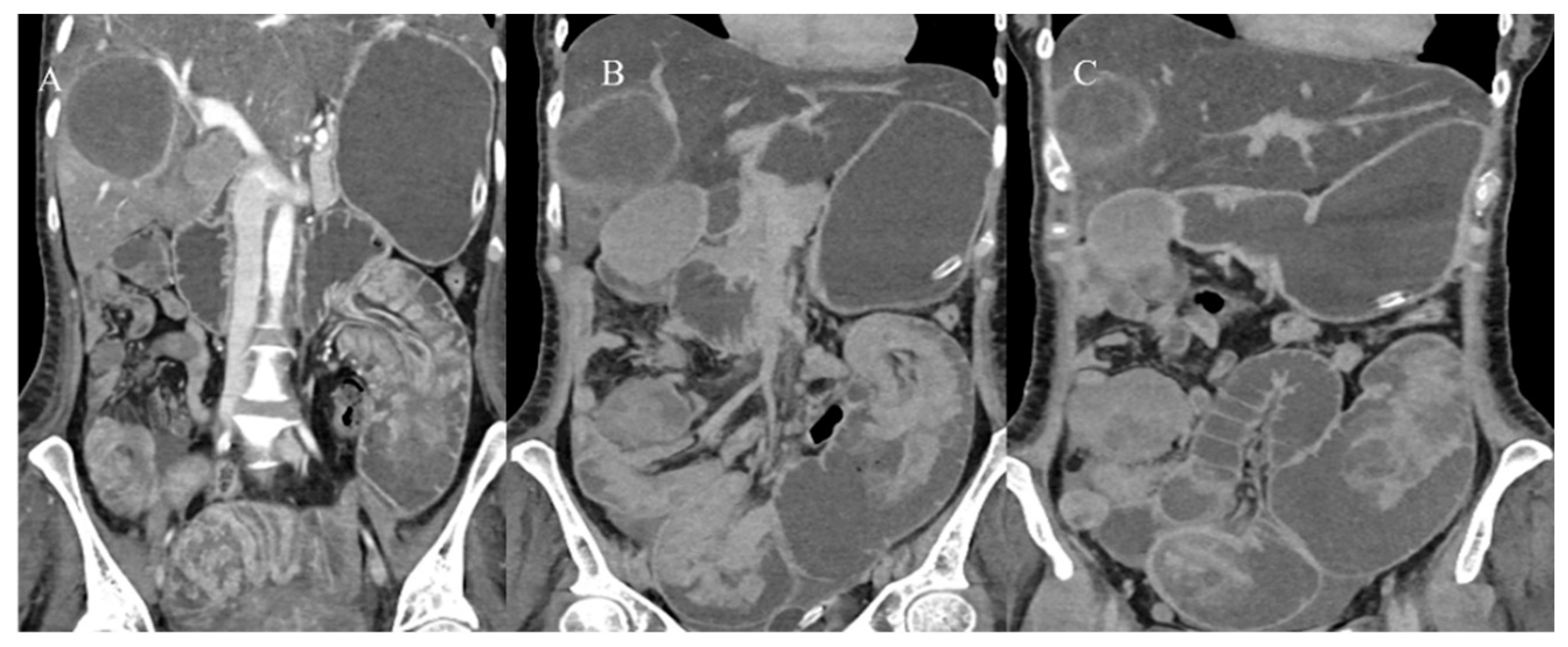 Healthcare 13 01071 g009