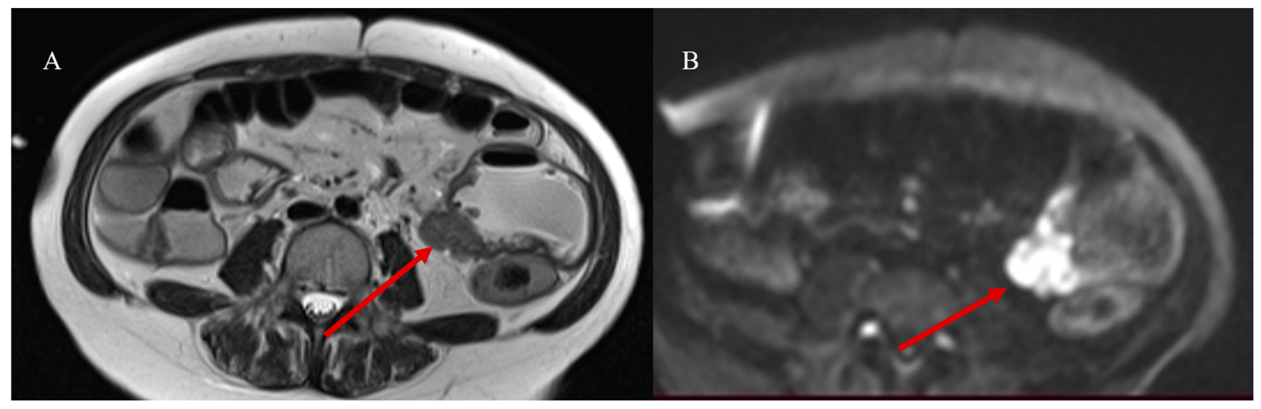 Healthcare 13 01071 g013