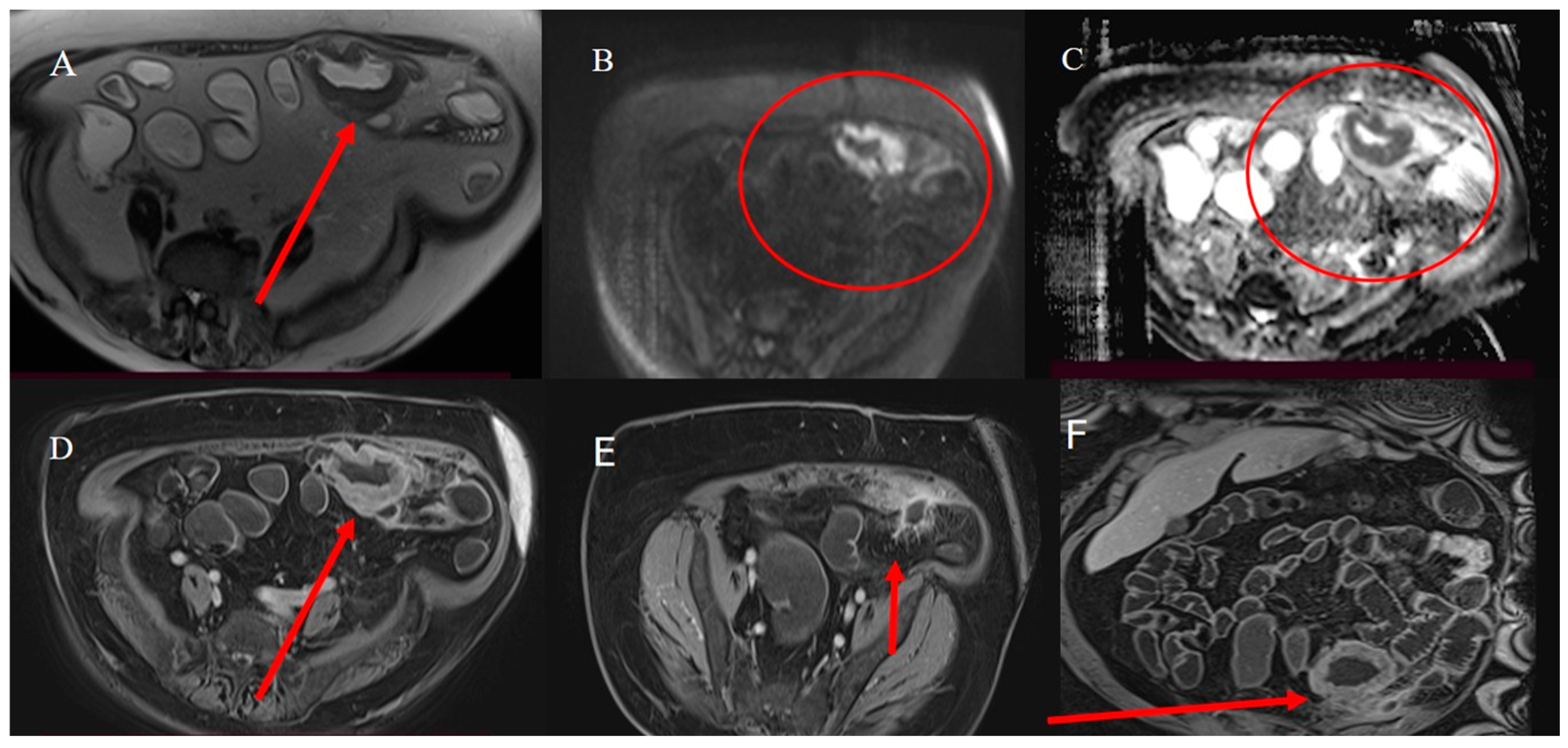 Healthcare 13 01071 g017