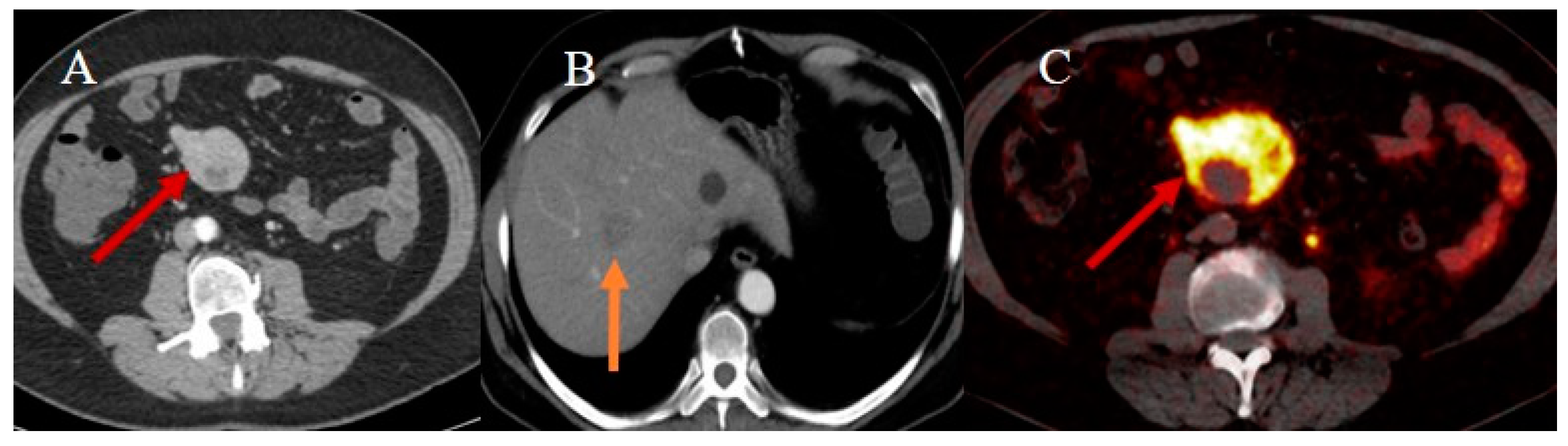 Healthcare 13 01071 g020