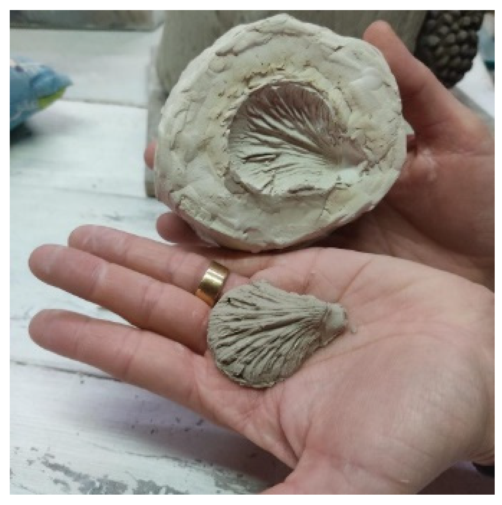 Healthcare 13 01103 g001