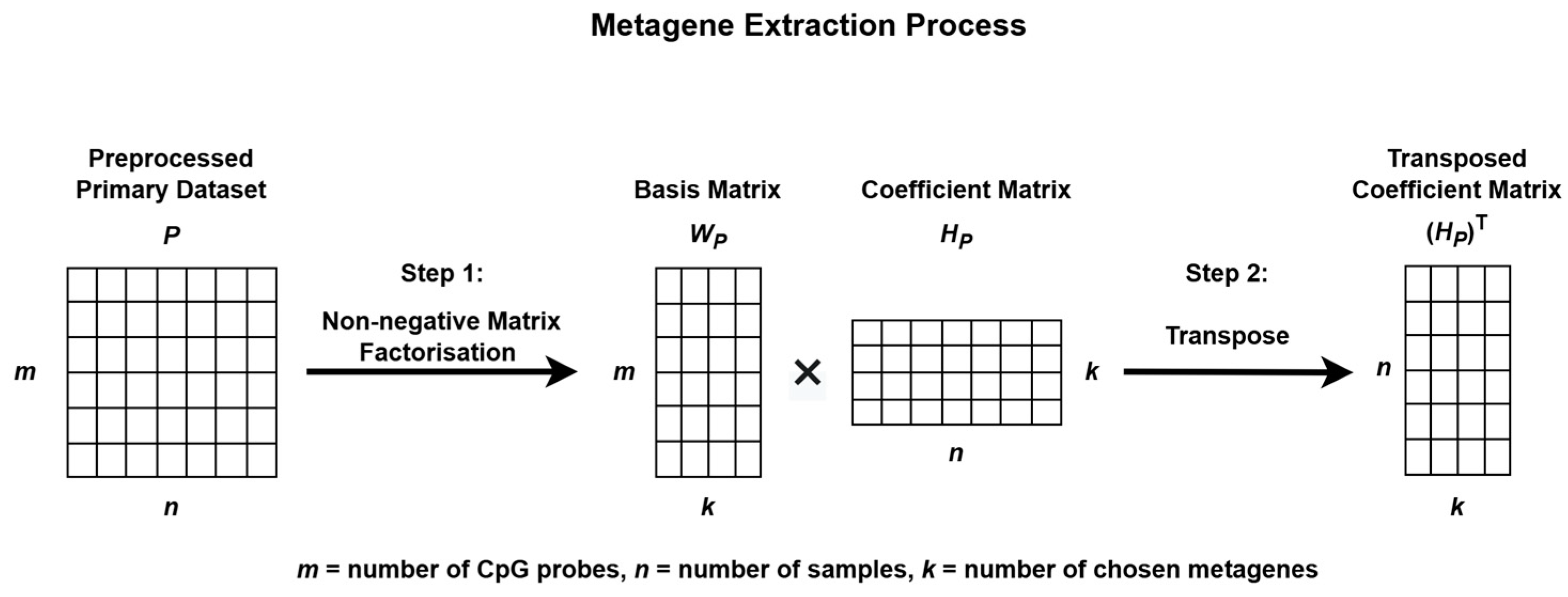 Healthcare 13 01114 g002