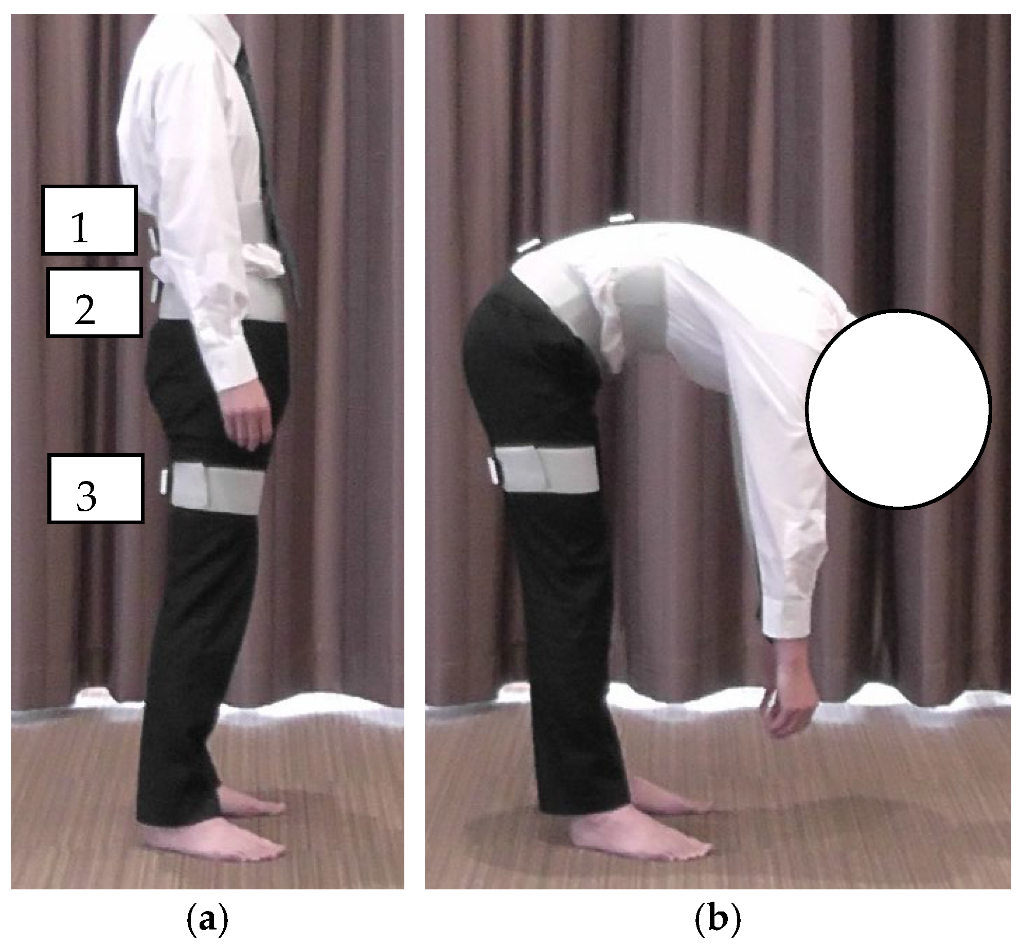 Healthcare 13 01135 g001