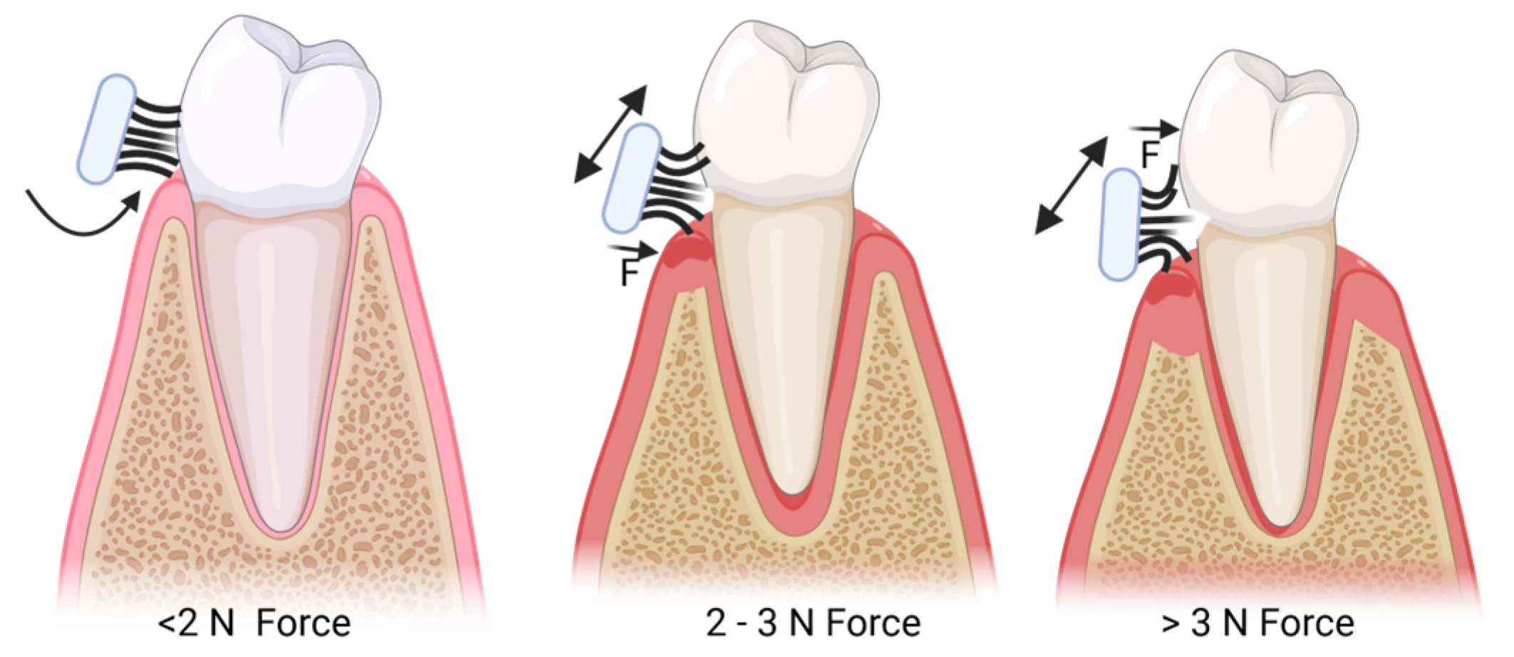 Healthcare 13 01138 g001