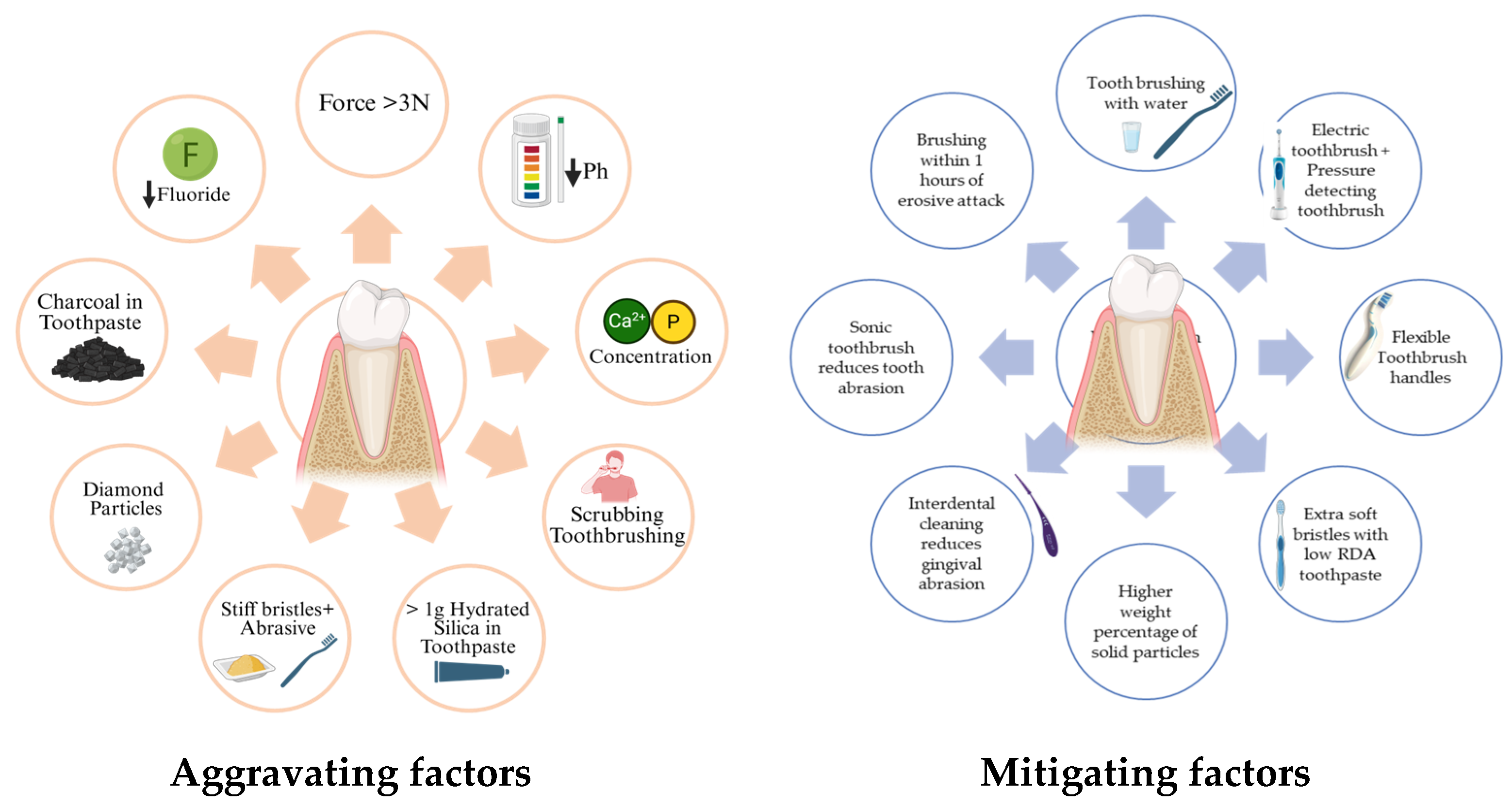 Healthcare 13 01138 g003