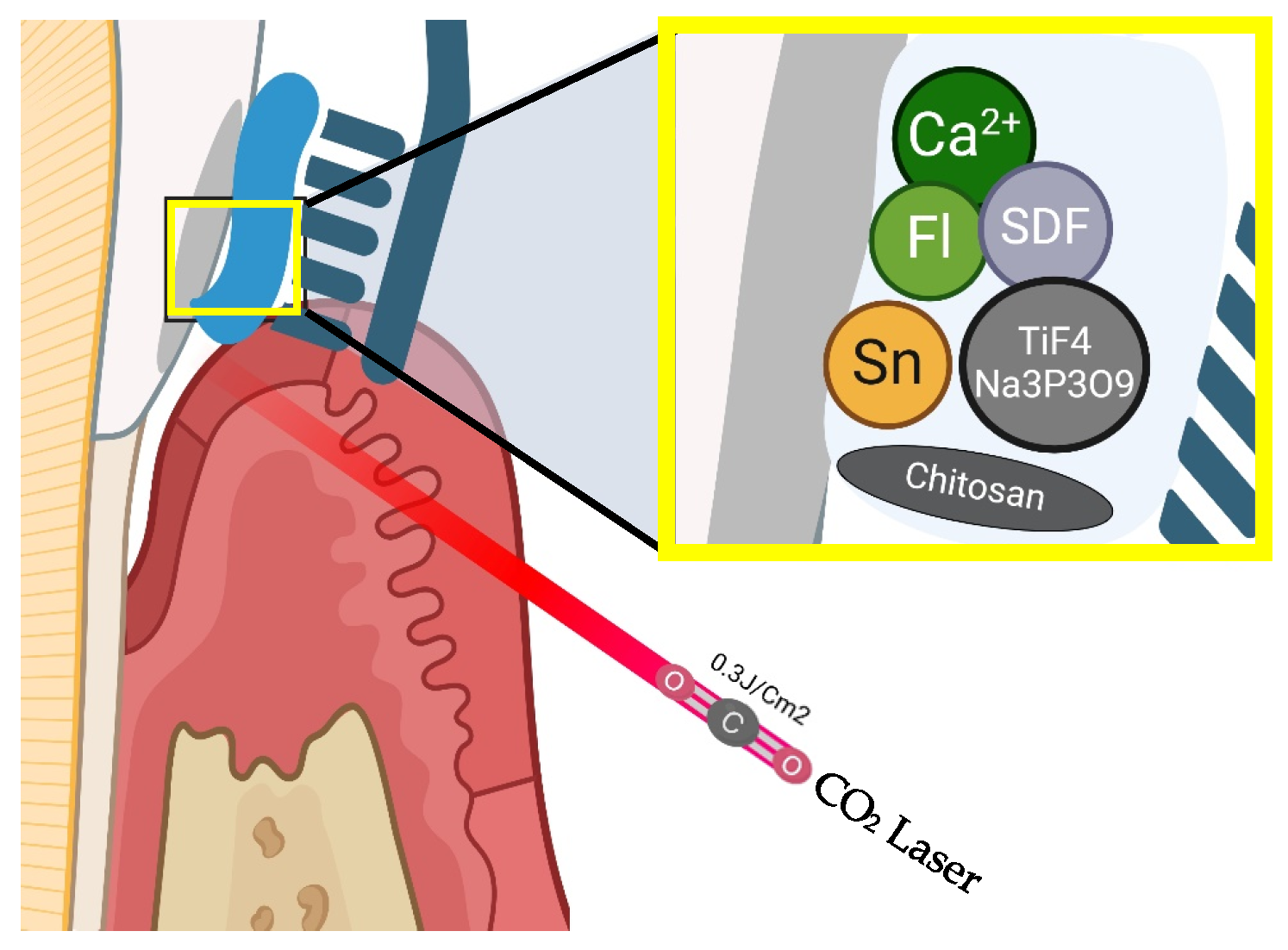 Healthcare 13 01138 g004