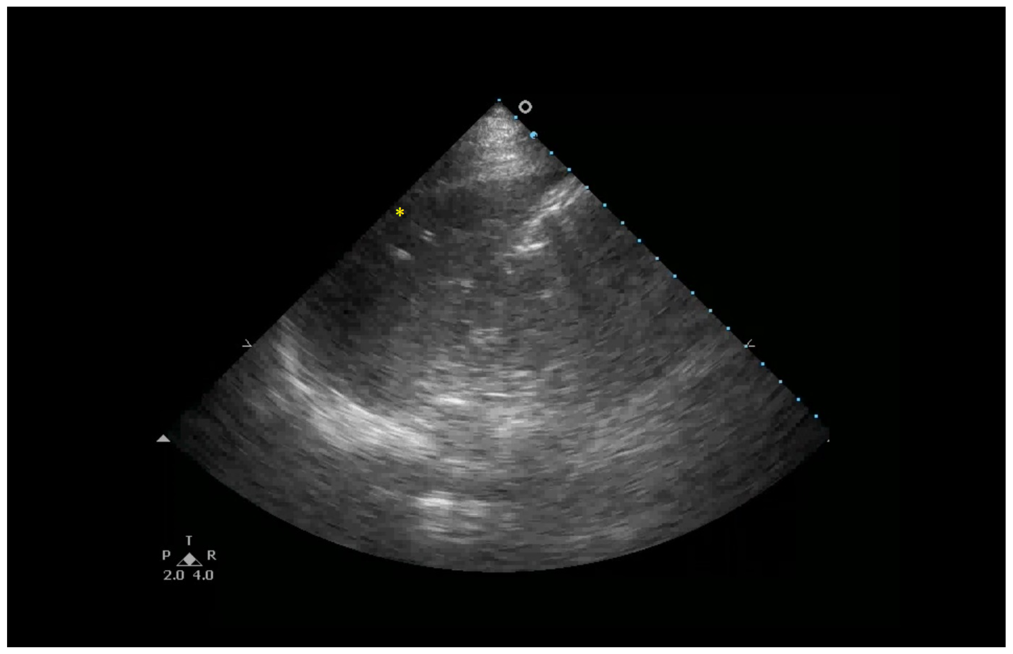 Healthcare 13 01148 g005