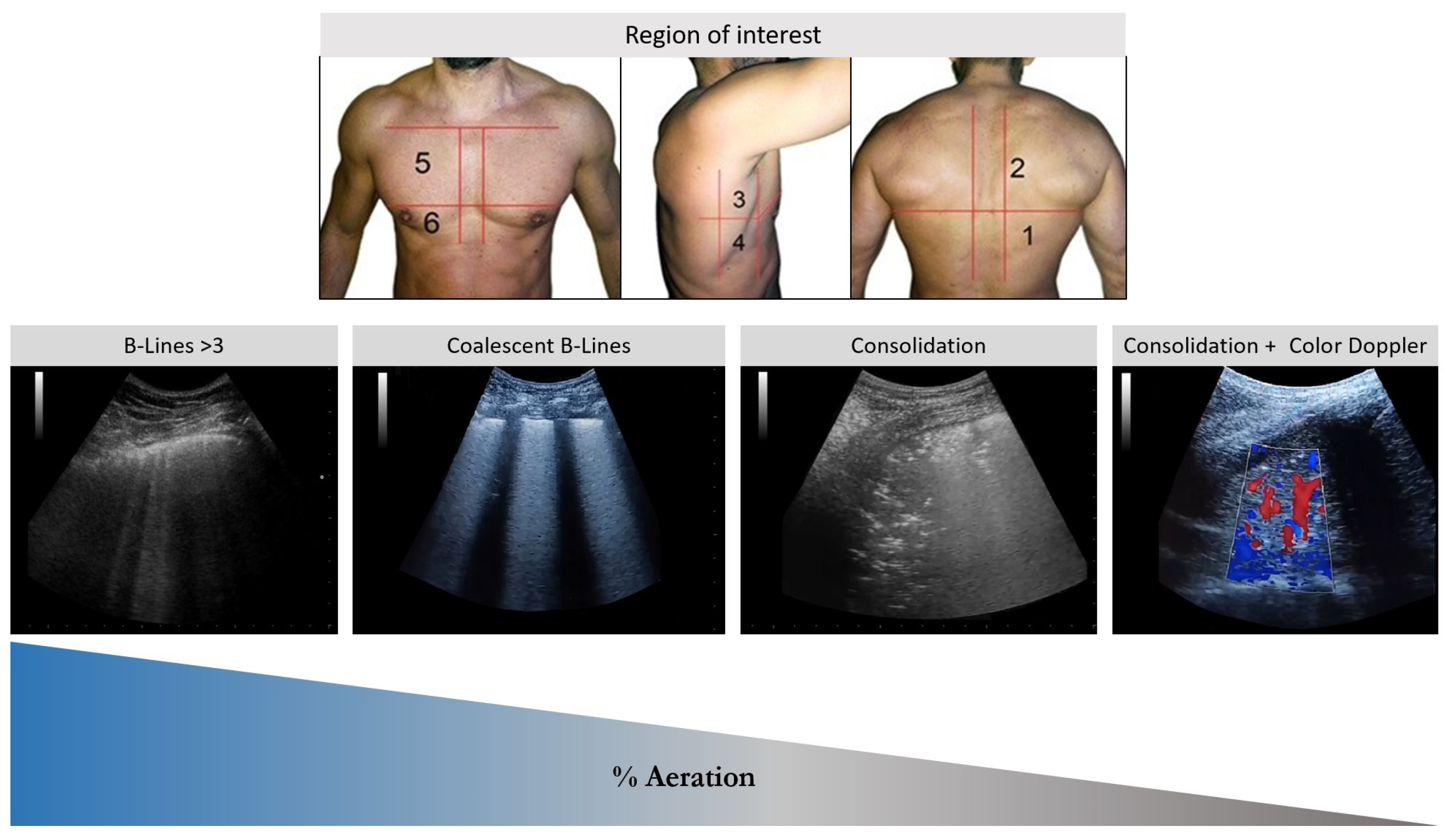 Healthcare 13 01148 g006