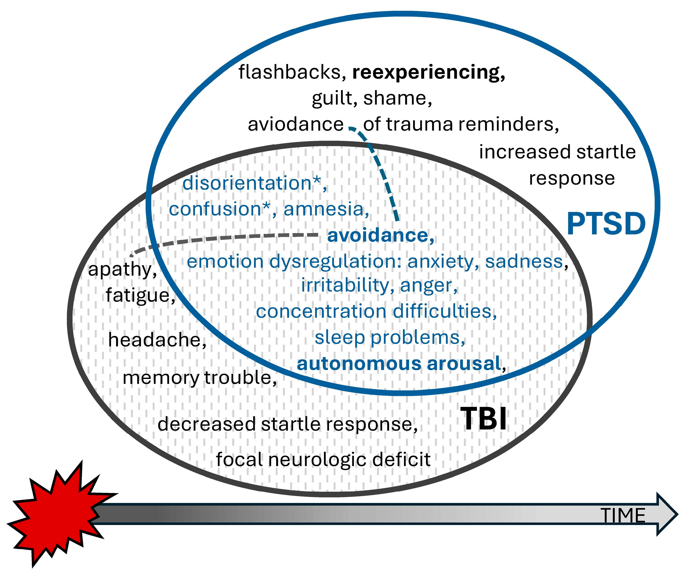 Healthcare 13 01194 g001