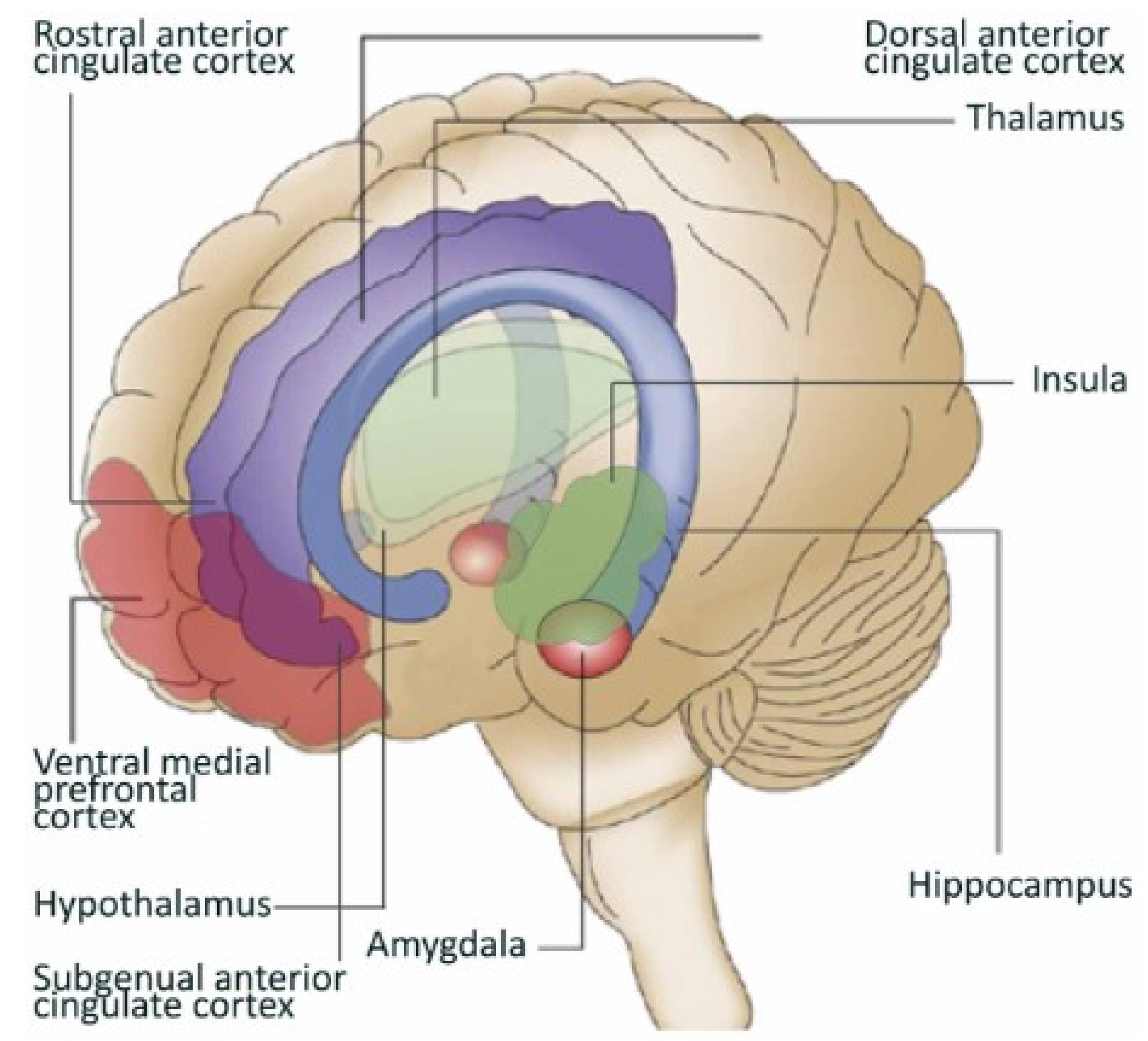 Healthcare 13 01258 g001