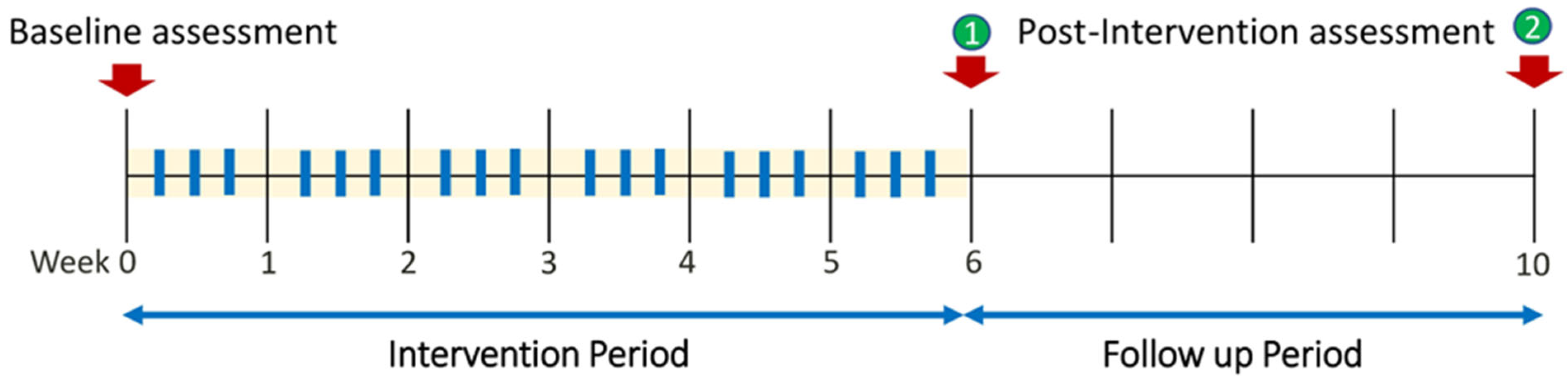 Healthcare 13 01263 g001