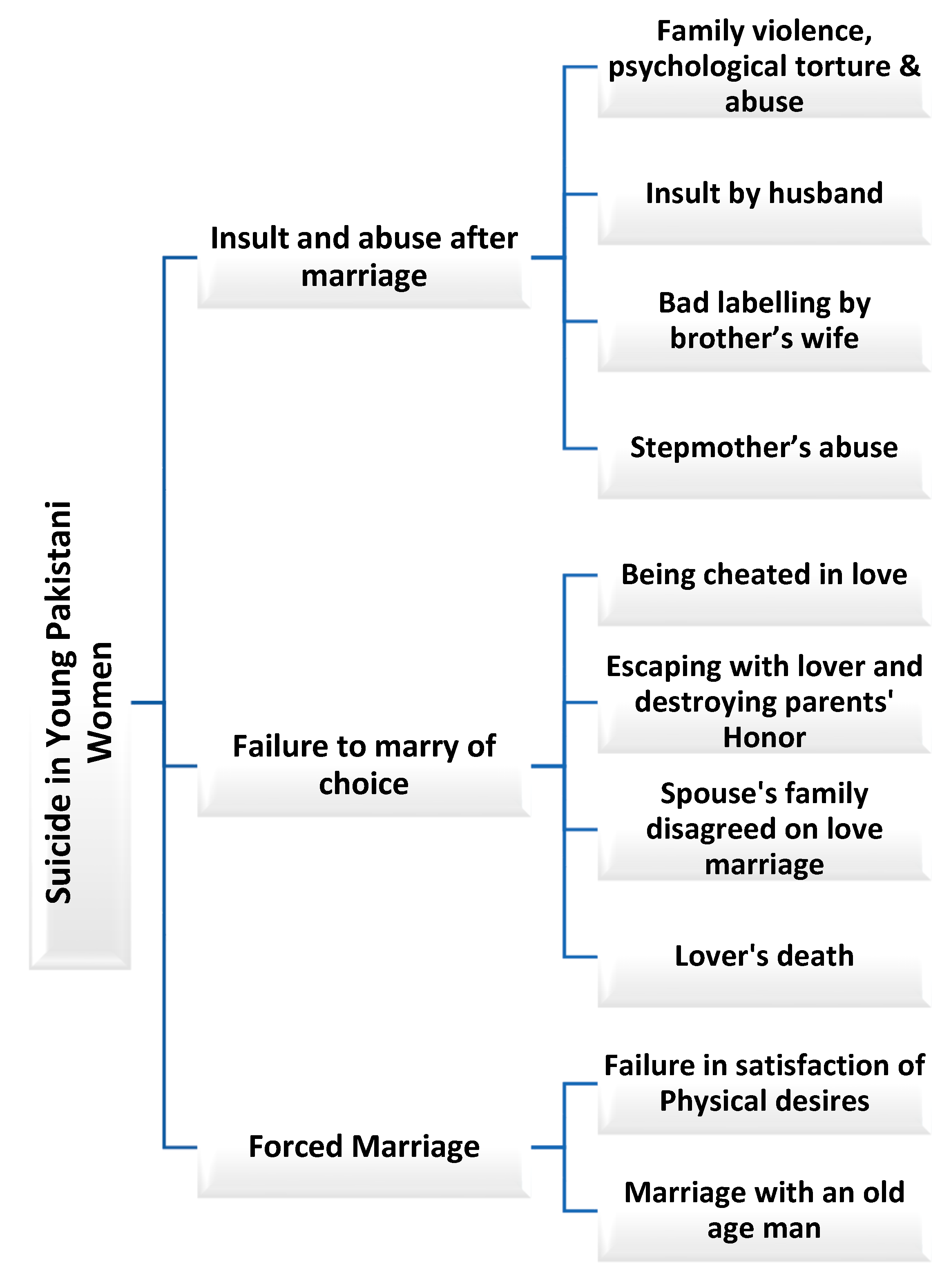 Healthcare 13 01284 g001