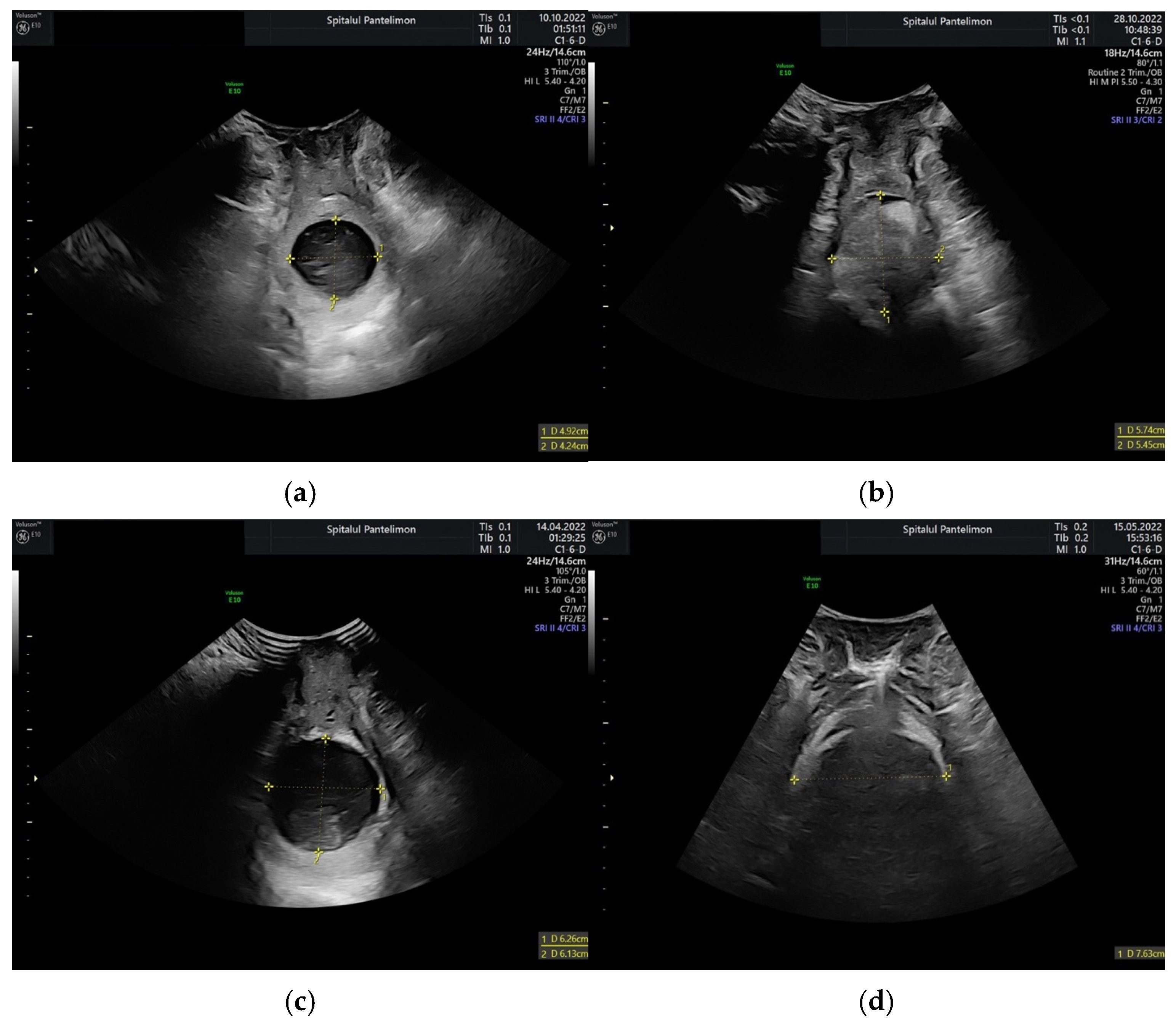 Healthcare 13 01322 g001