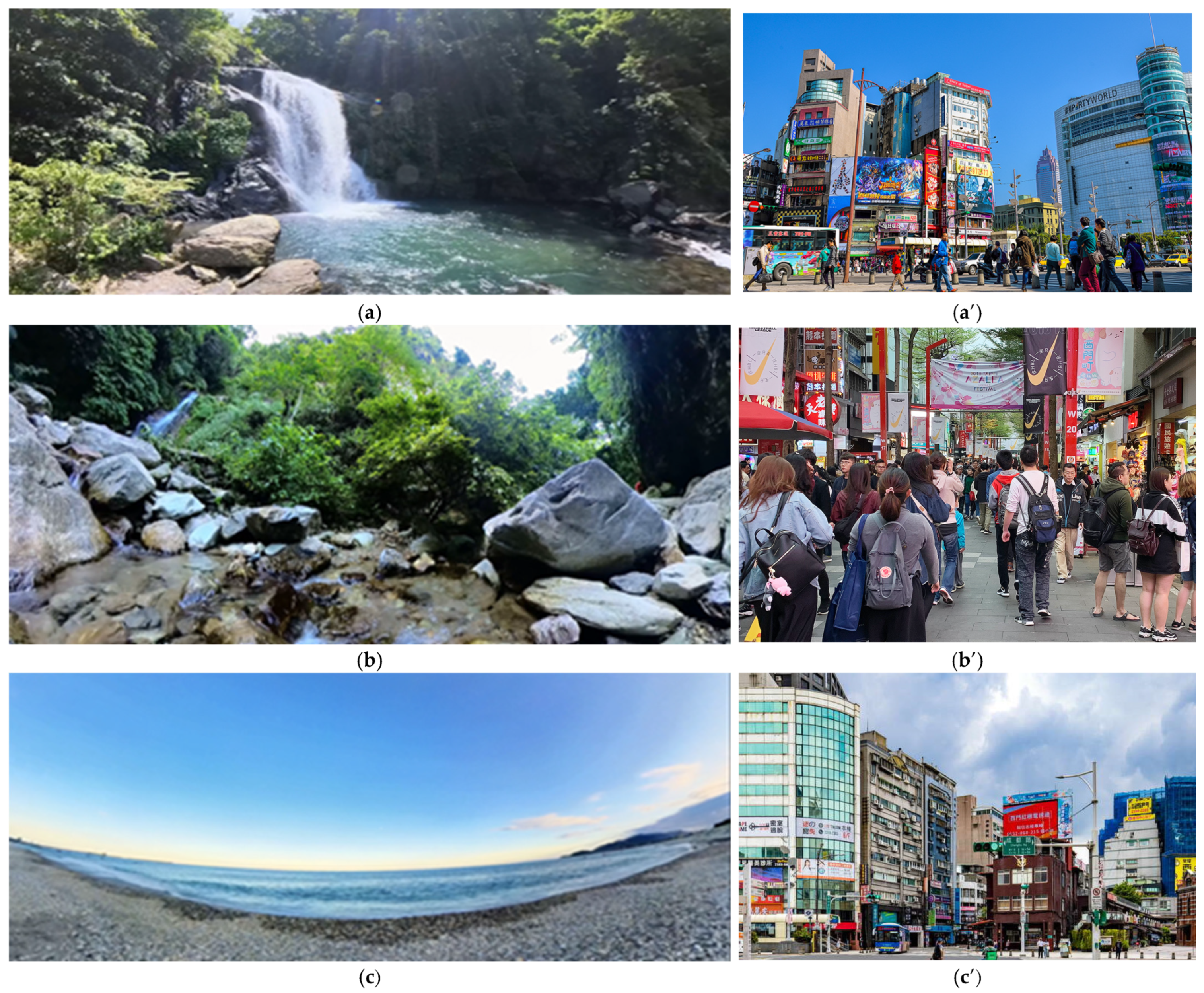 Healthcare 13 01353 g003