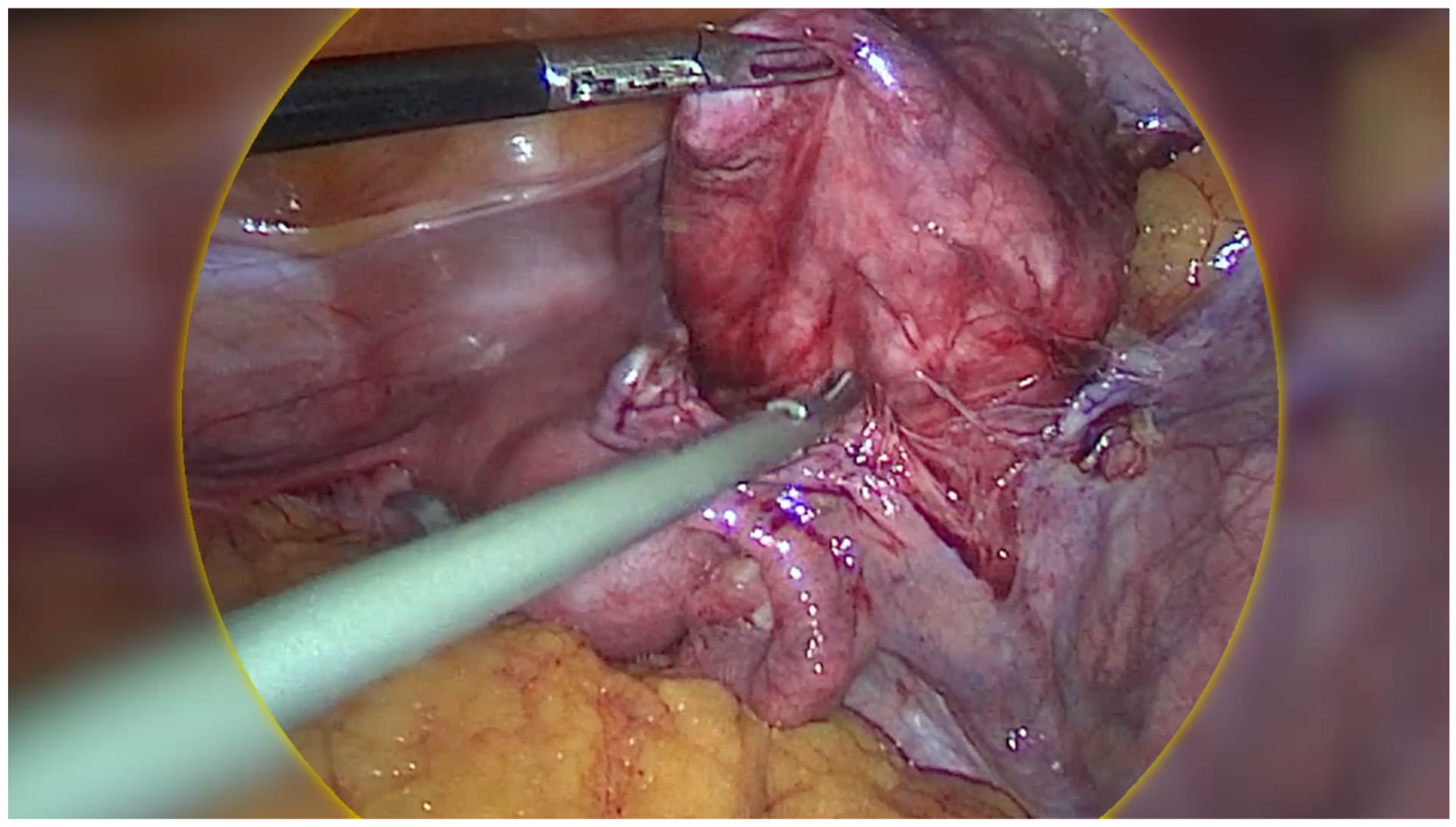 Healthcare 13 01367 g003