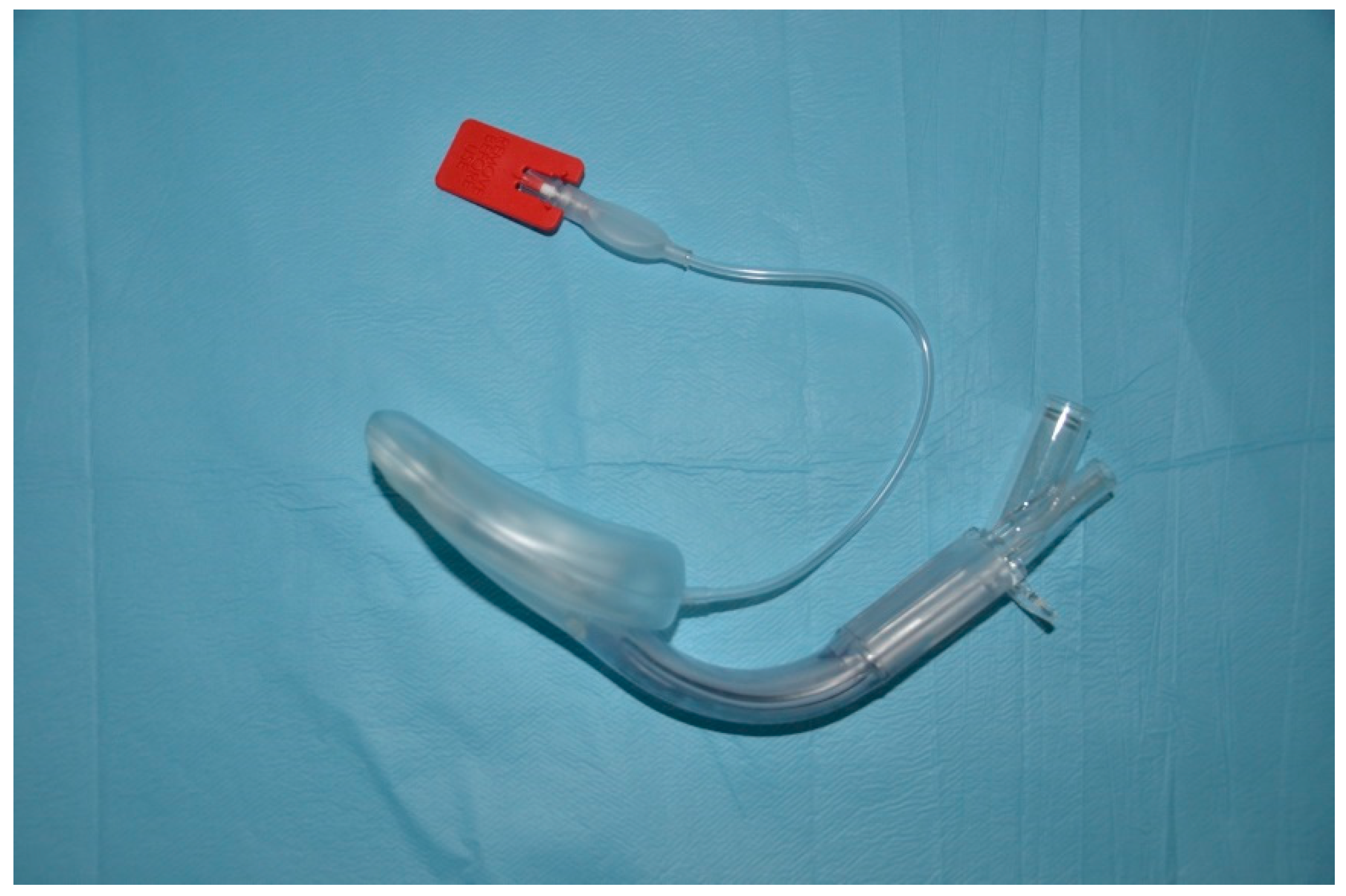 Healthcare 13 01404 g005