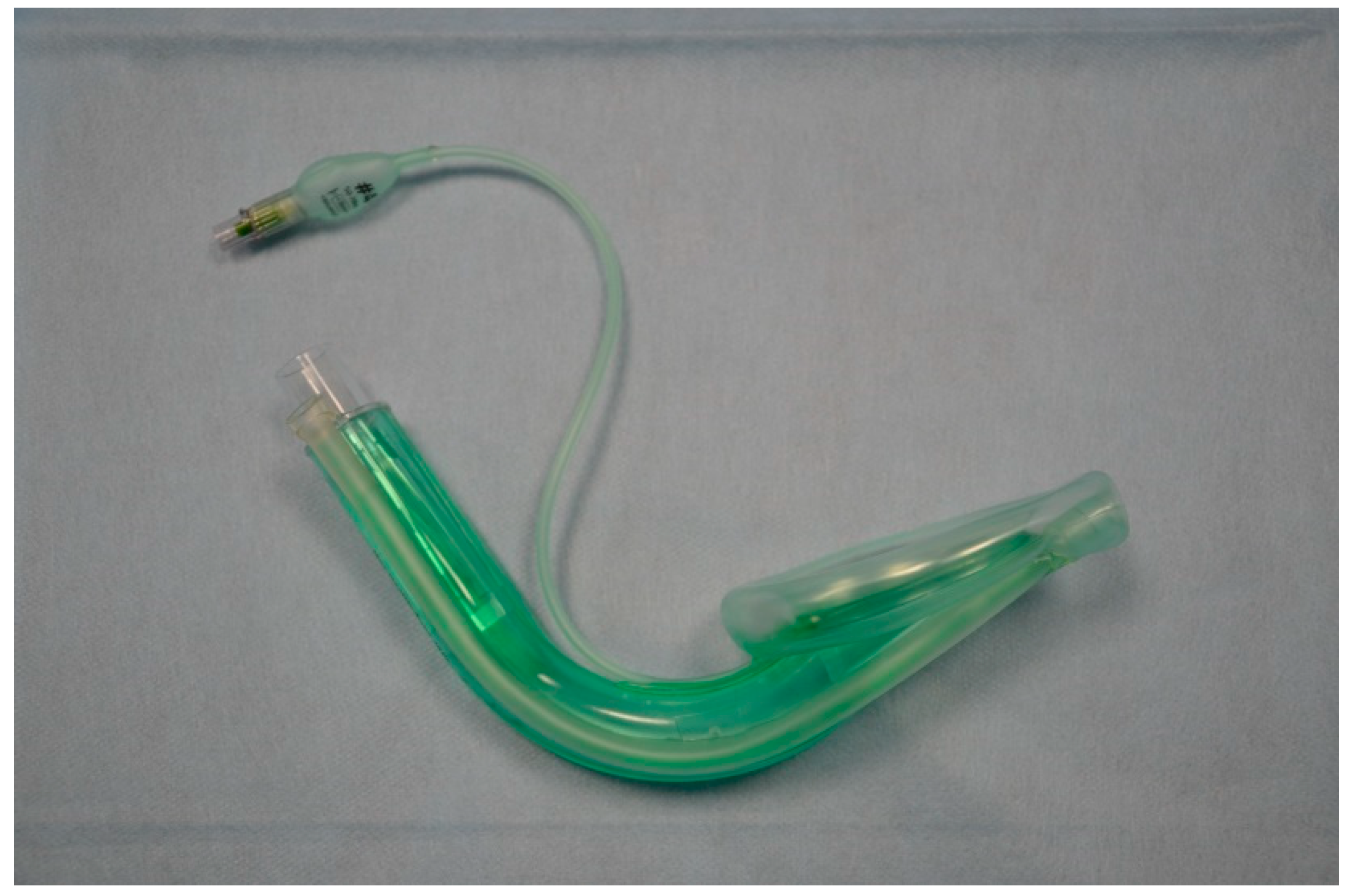 Healthcare 13 01404 g006