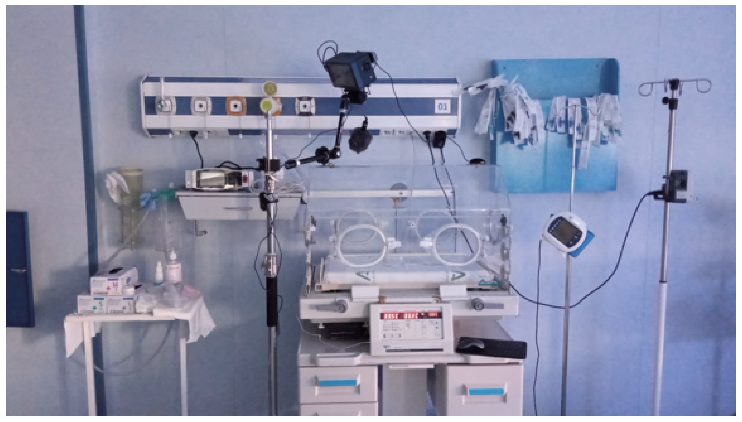 Healthcare 13 01577 g002b