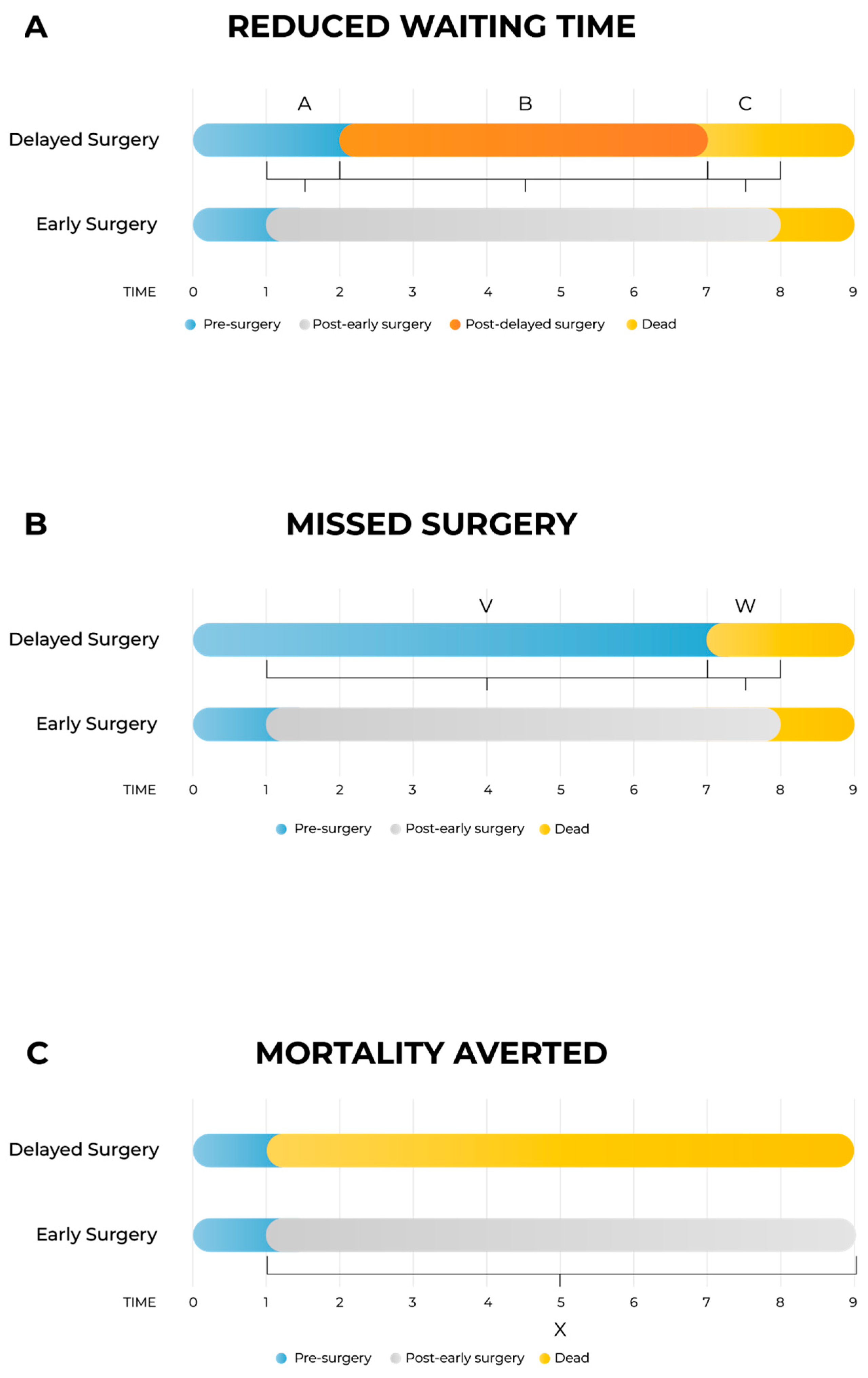 Healthcare 13 01619 g001