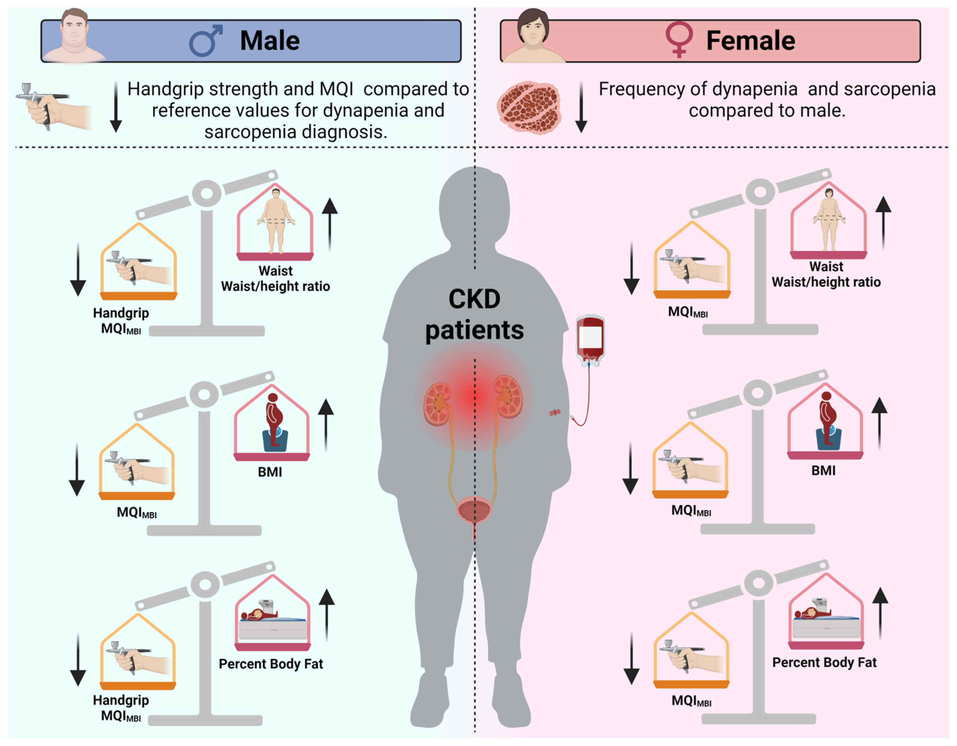 Healthcare 13 01621 g002 Healthcare 13 01621 g002
