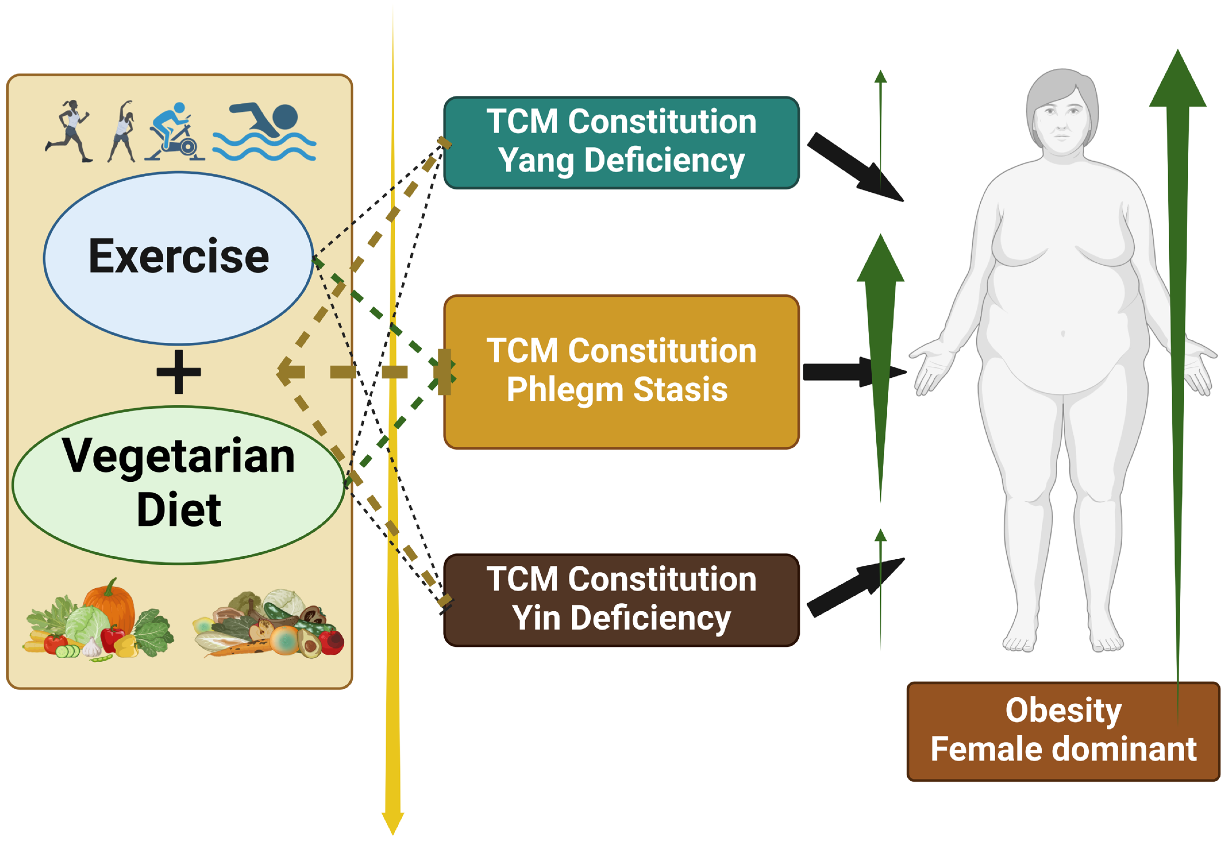 Healthcare 13 01641 g002