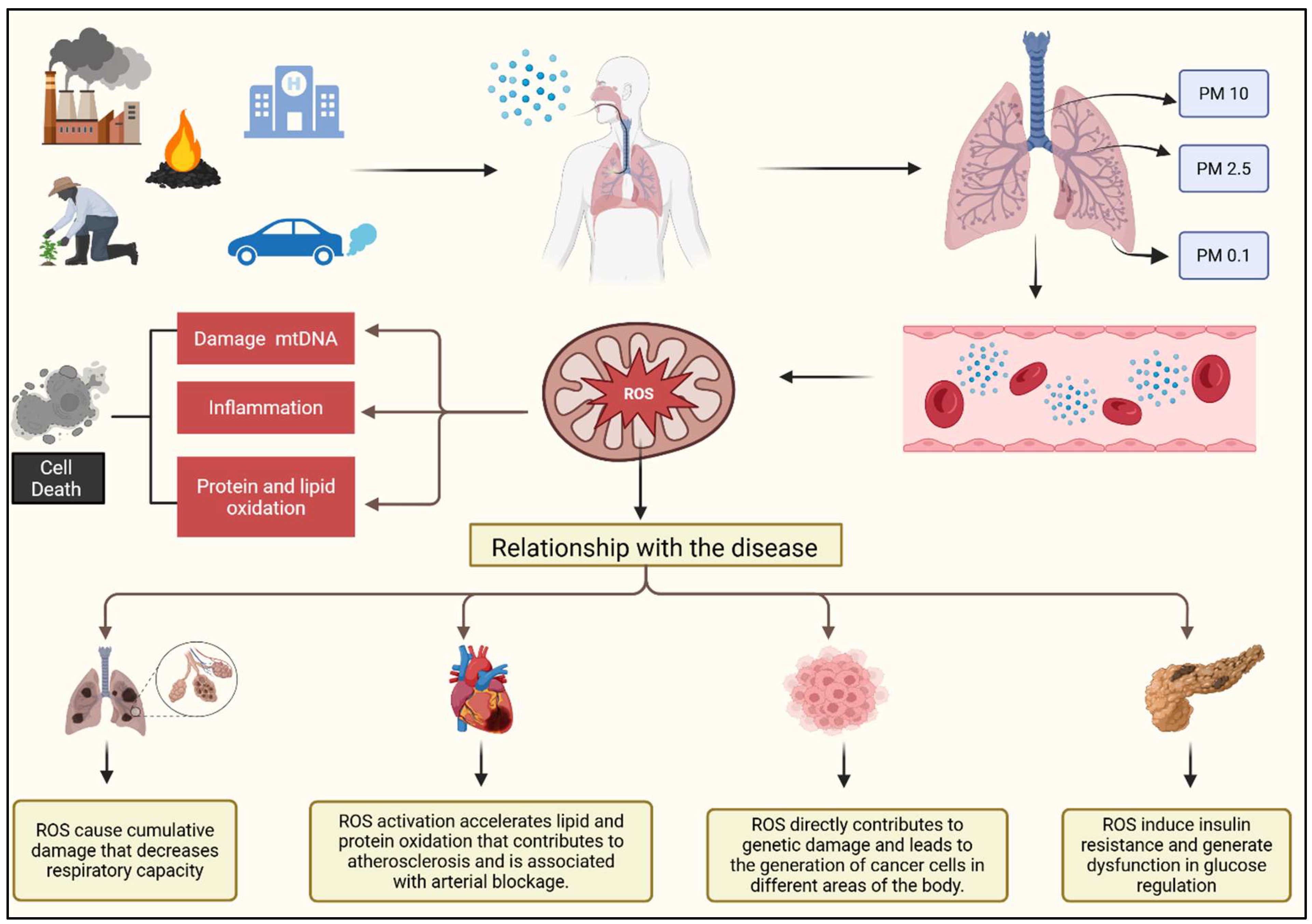 Healthcare 13 01653 g004