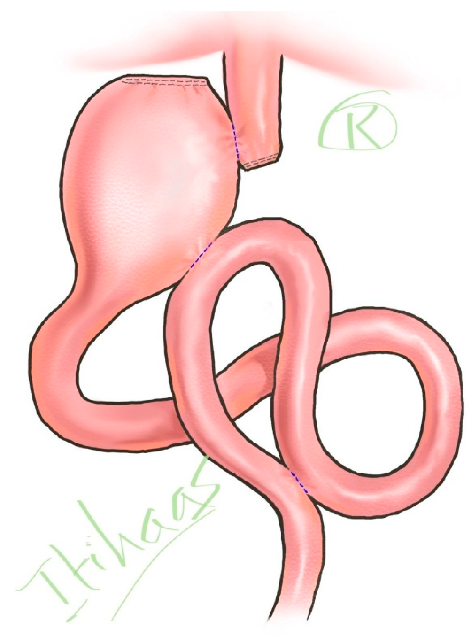 Healthcare 13 01663 g001