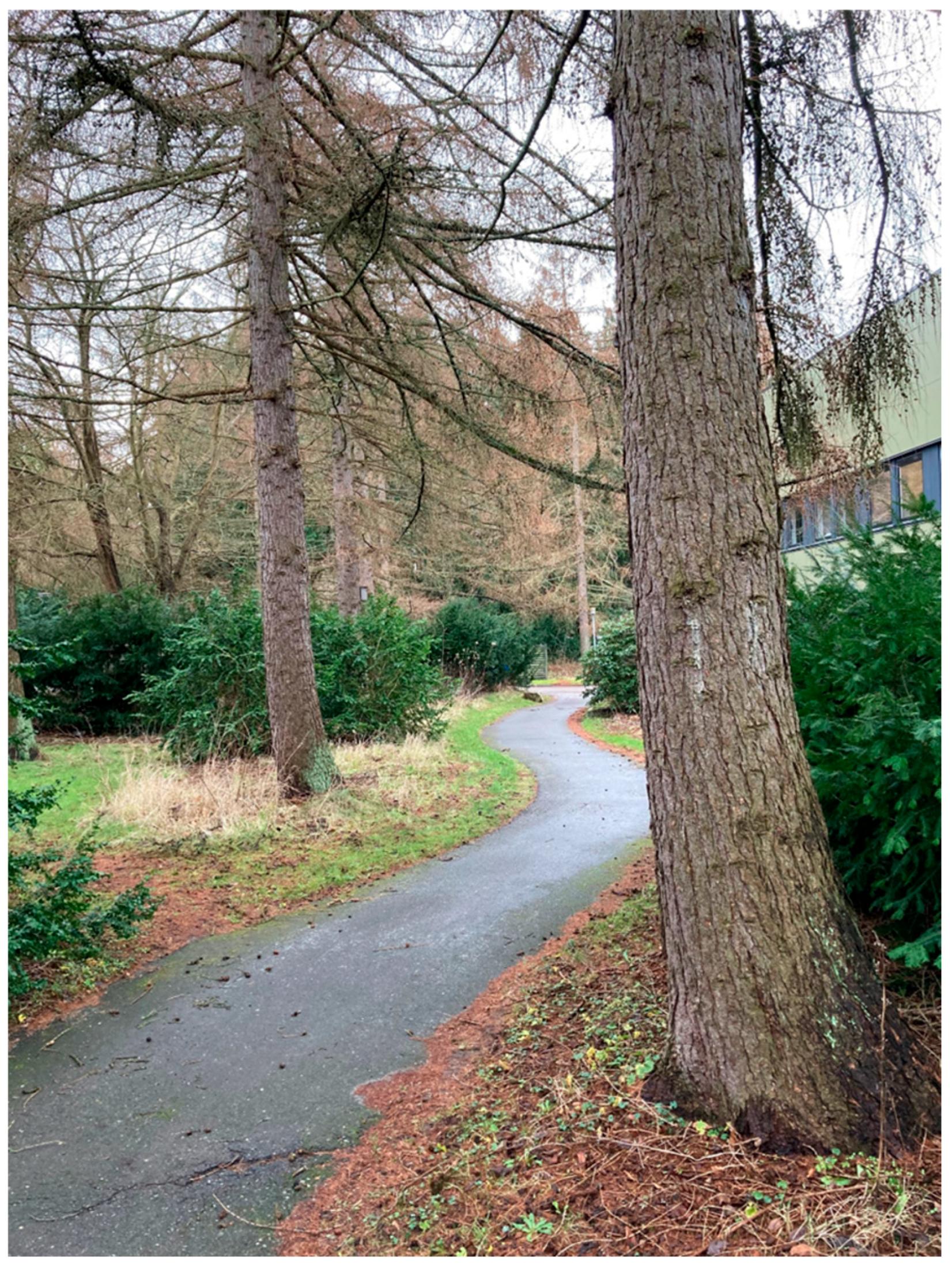 Healthcare 13 01677 g001