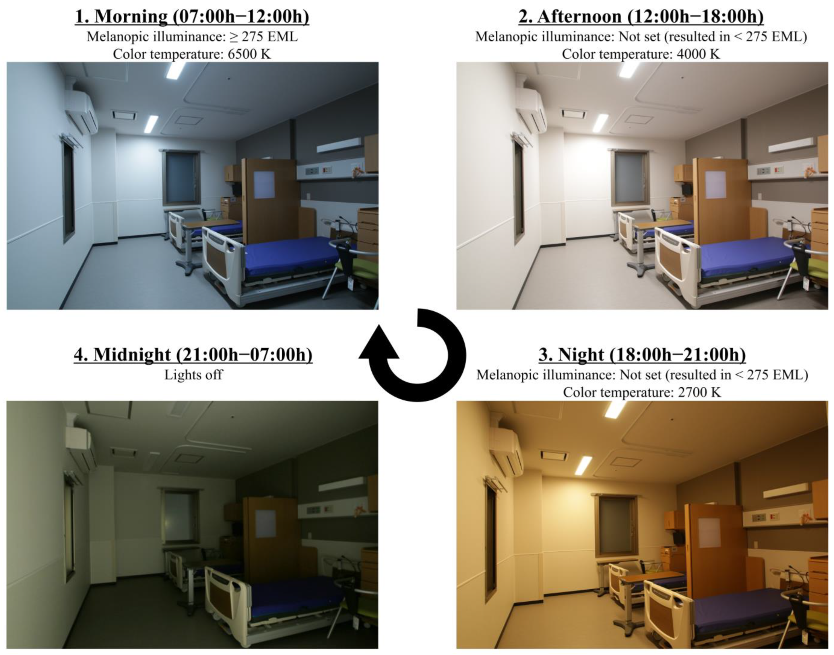 Healthcare 13 01692 g002