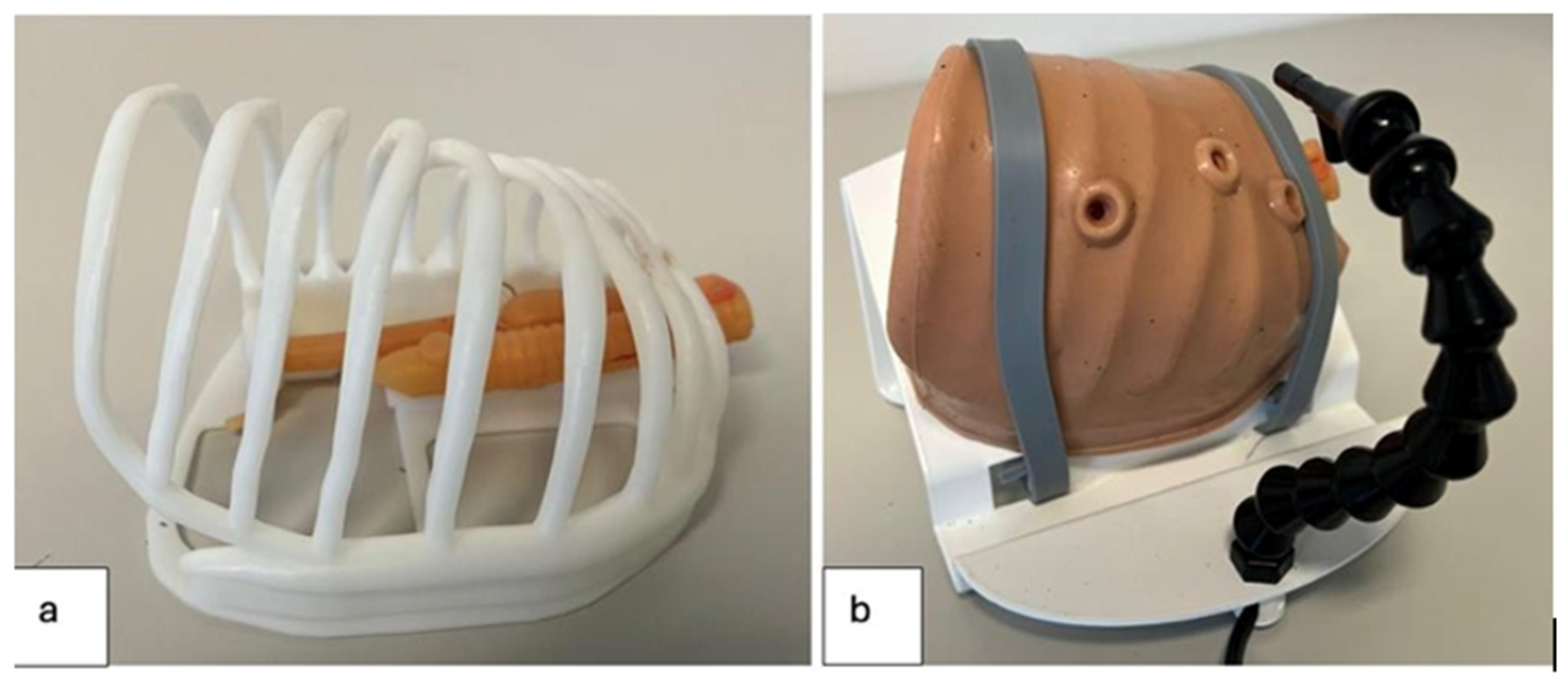 Healthcare 13 01720 g001