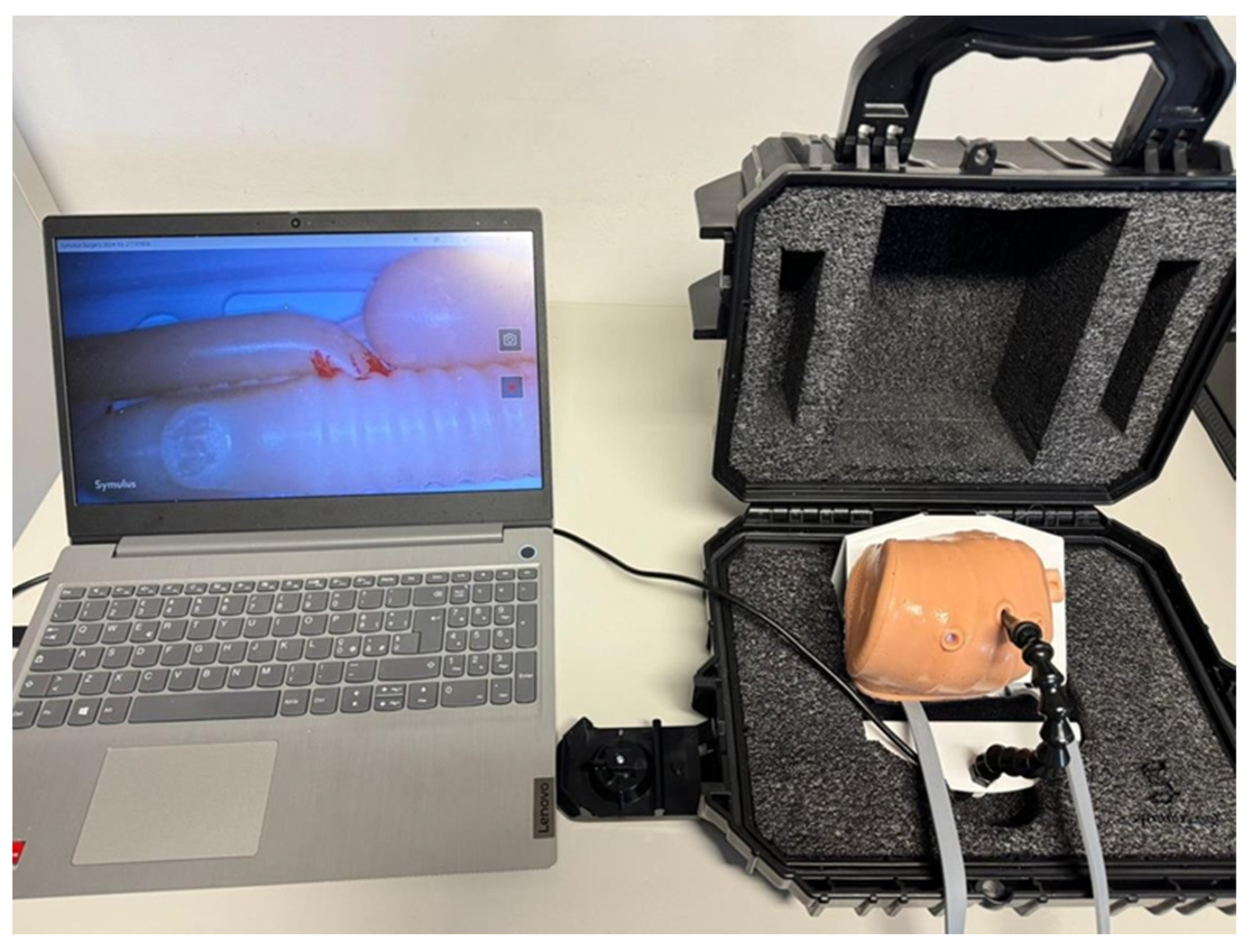 Healthcare 13 01720 g002