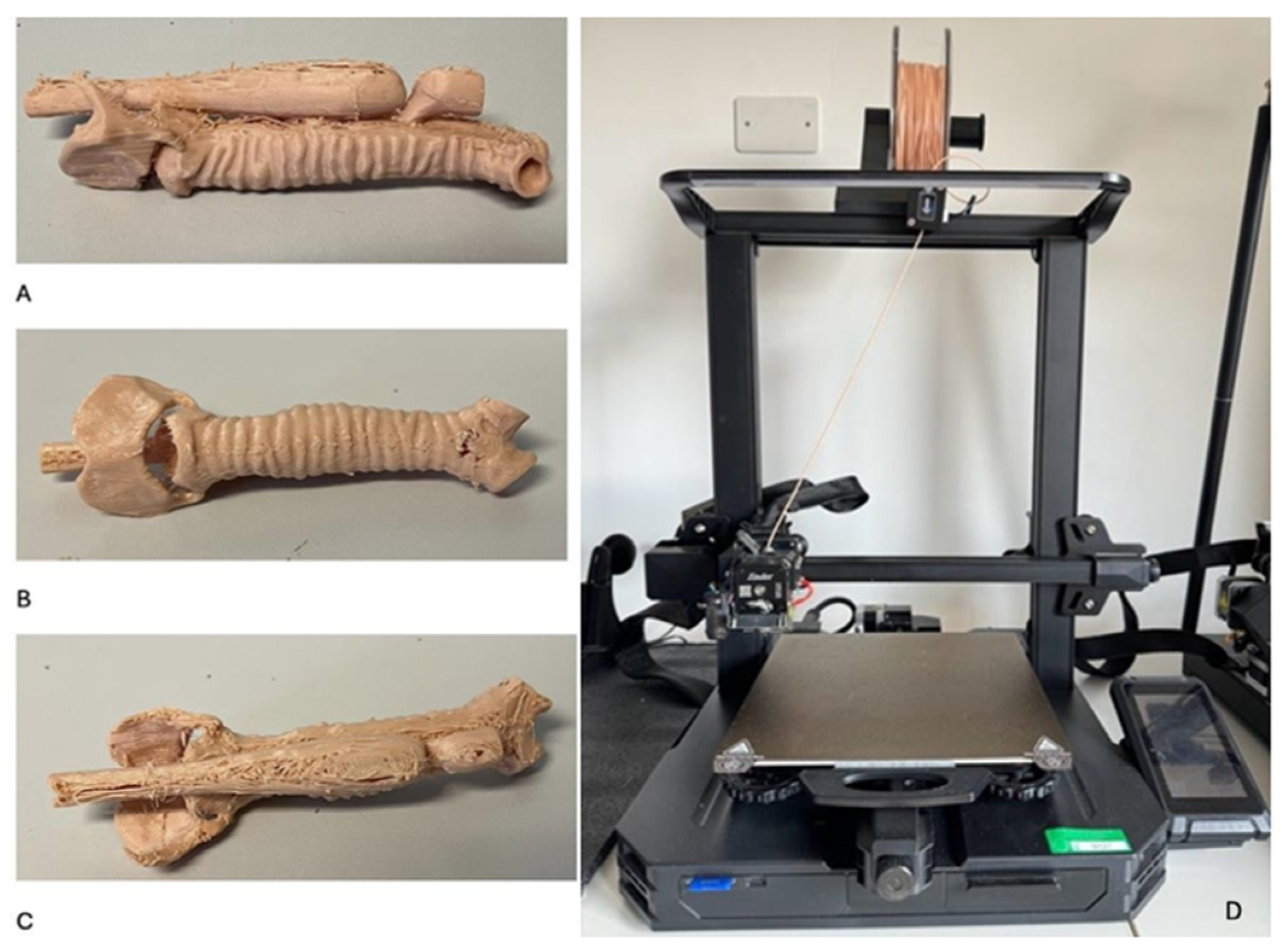 Healthcare 13 01720 g003