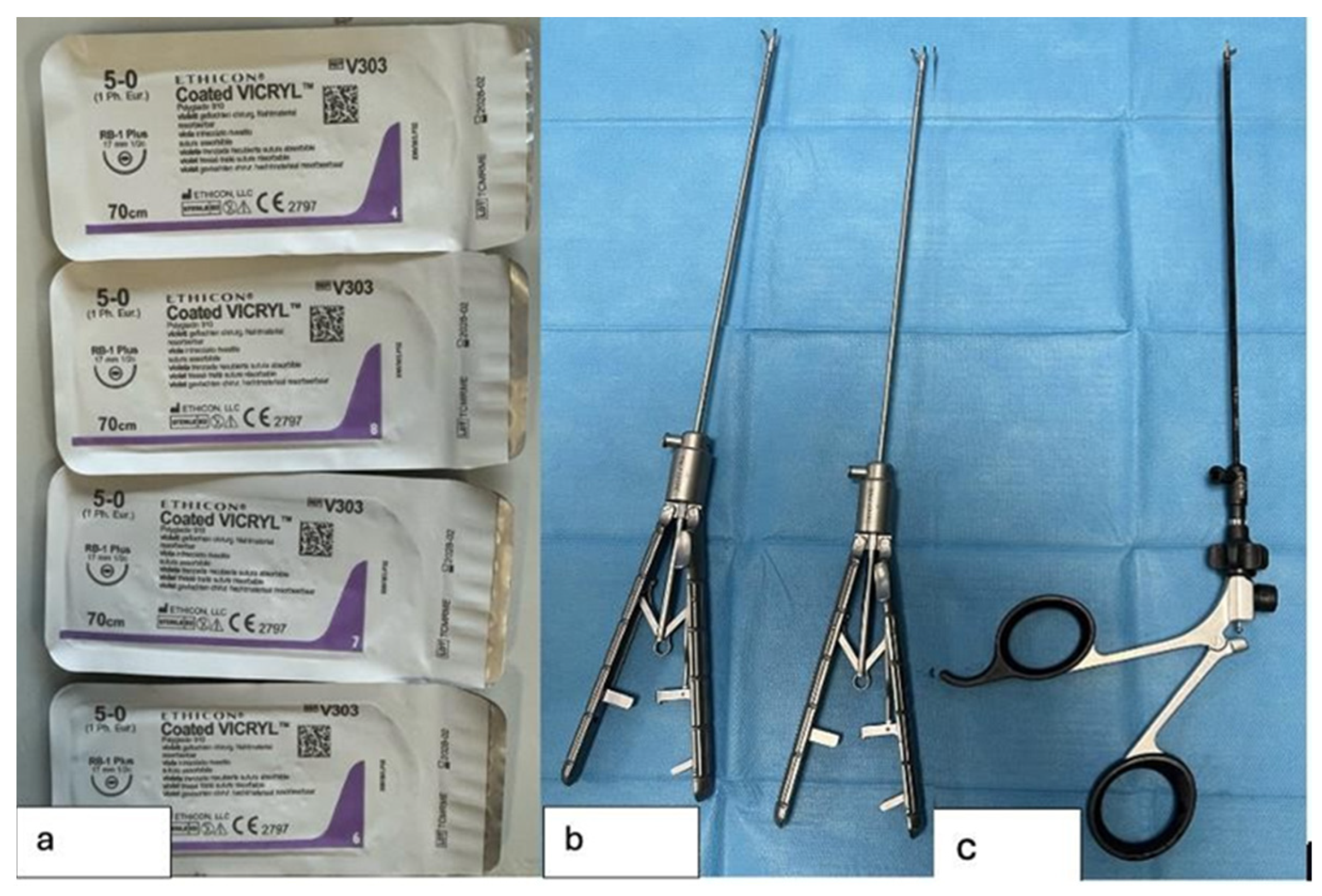 Healthcare 13 01720 g004