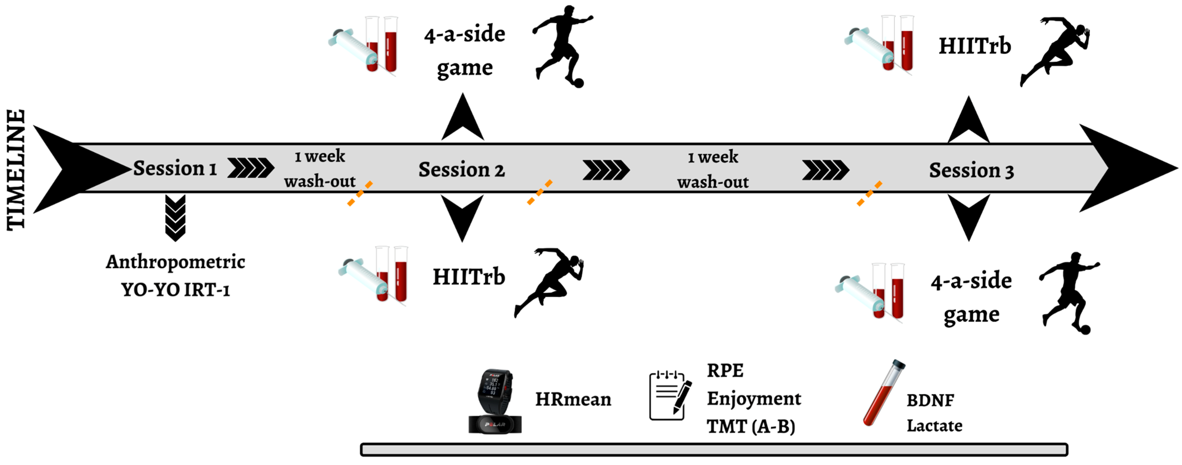 Healthcare 13 01738 g001