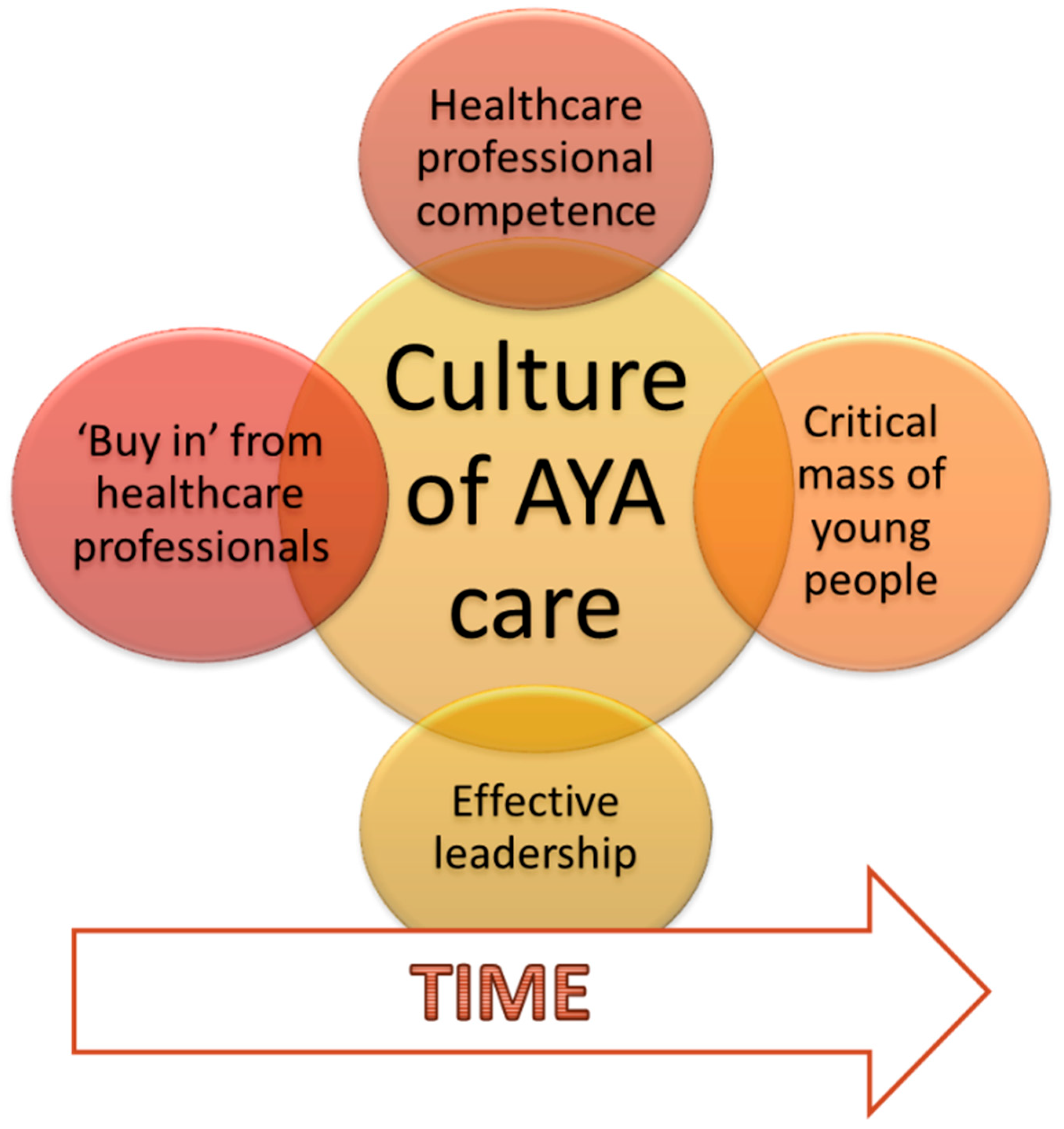 Healthcare 13 01821 g001