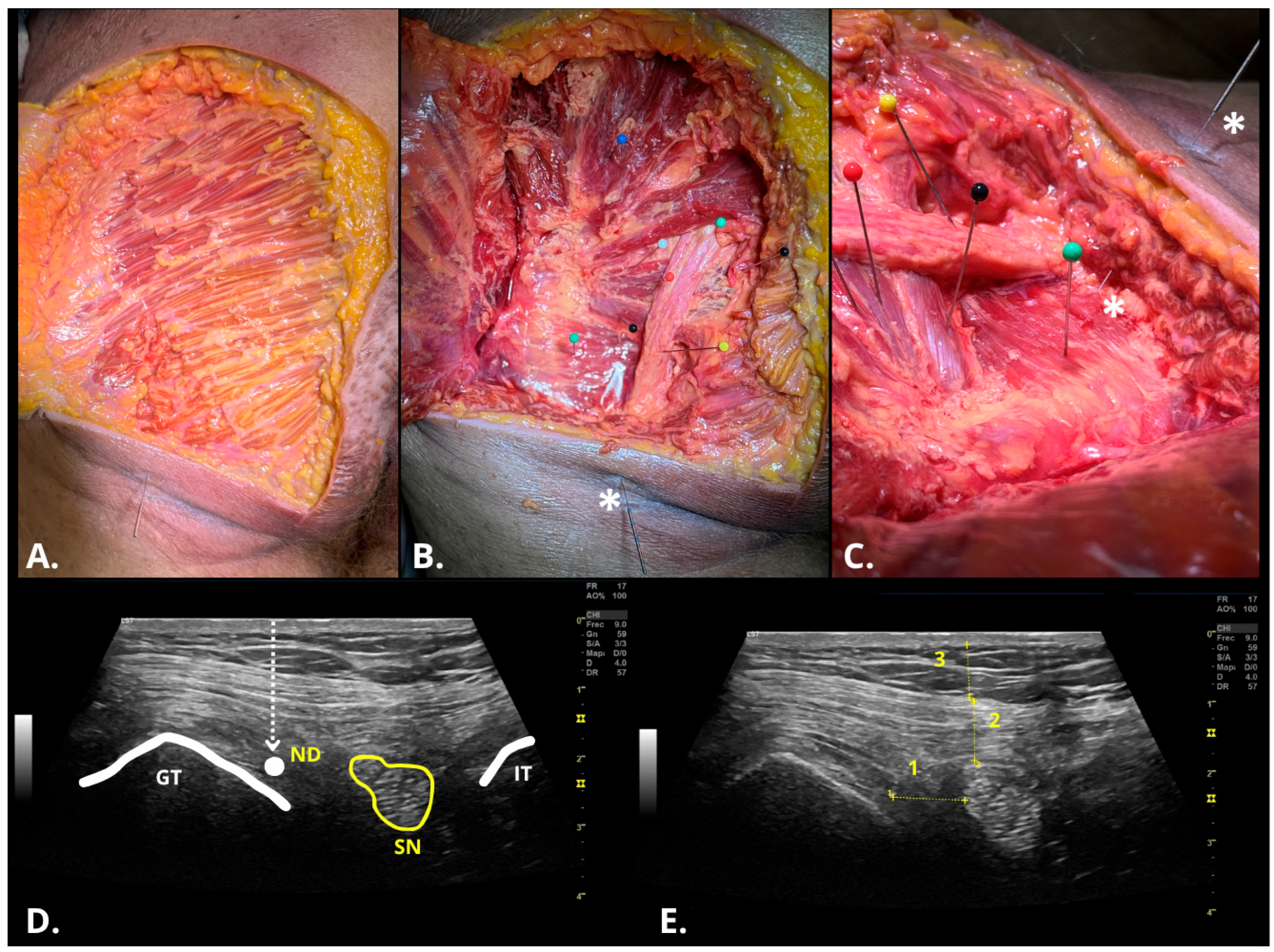 Healthcare 13 01828 g002