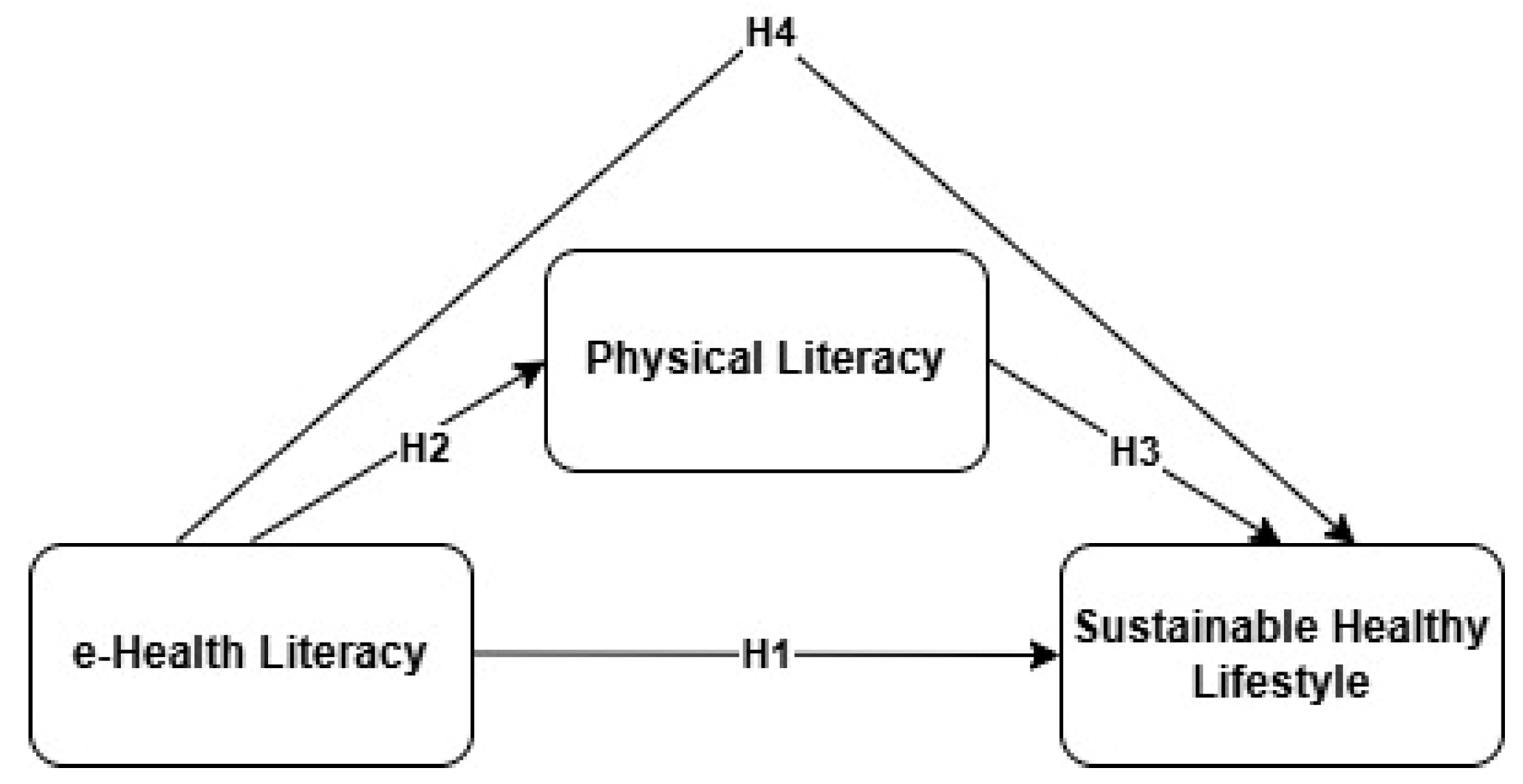 Healthcare 13 01870 g001