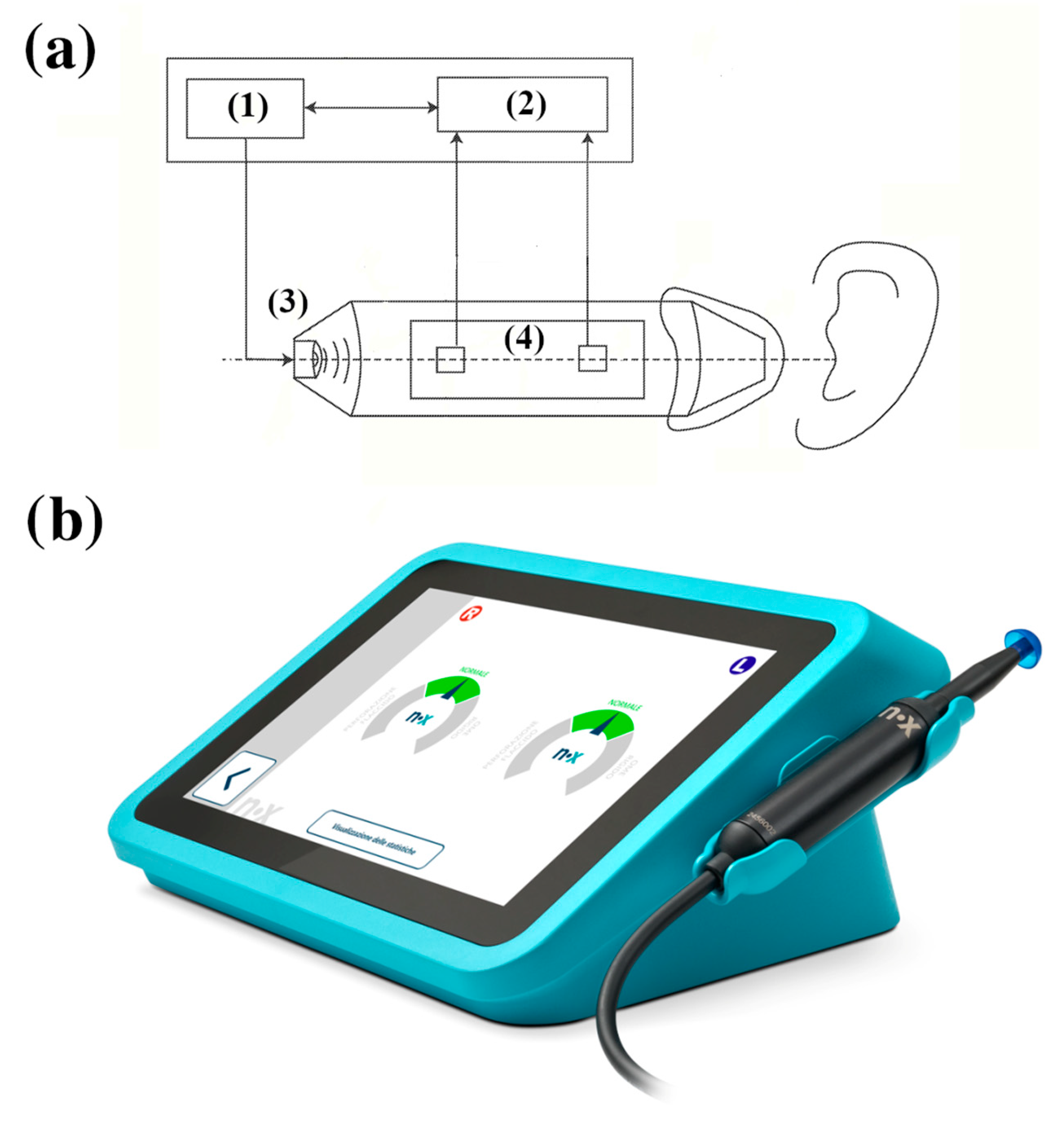 Healthcare 13 01921 g001 Healthcare 13 01921 g001
