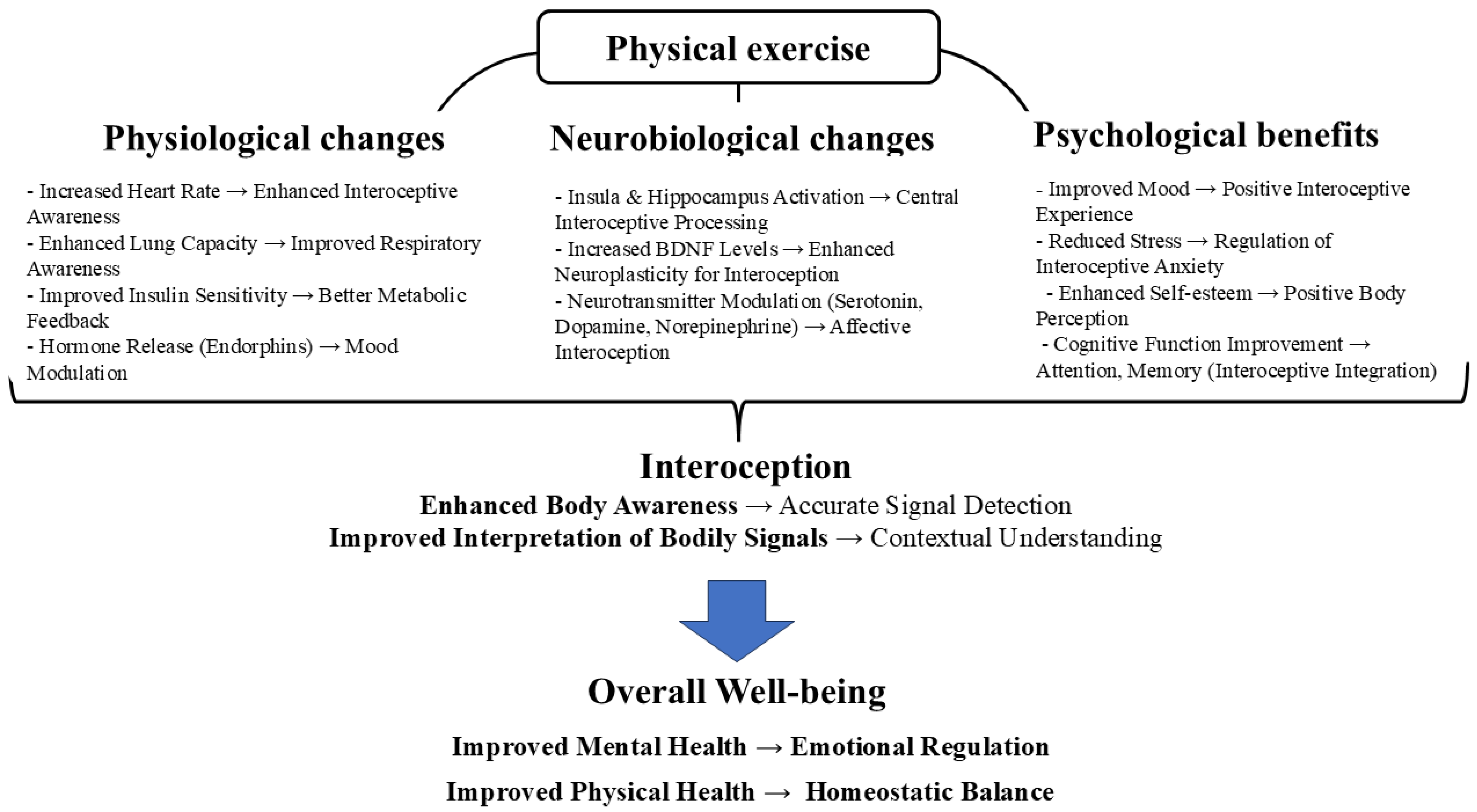 Healthcare 13 01960 g001