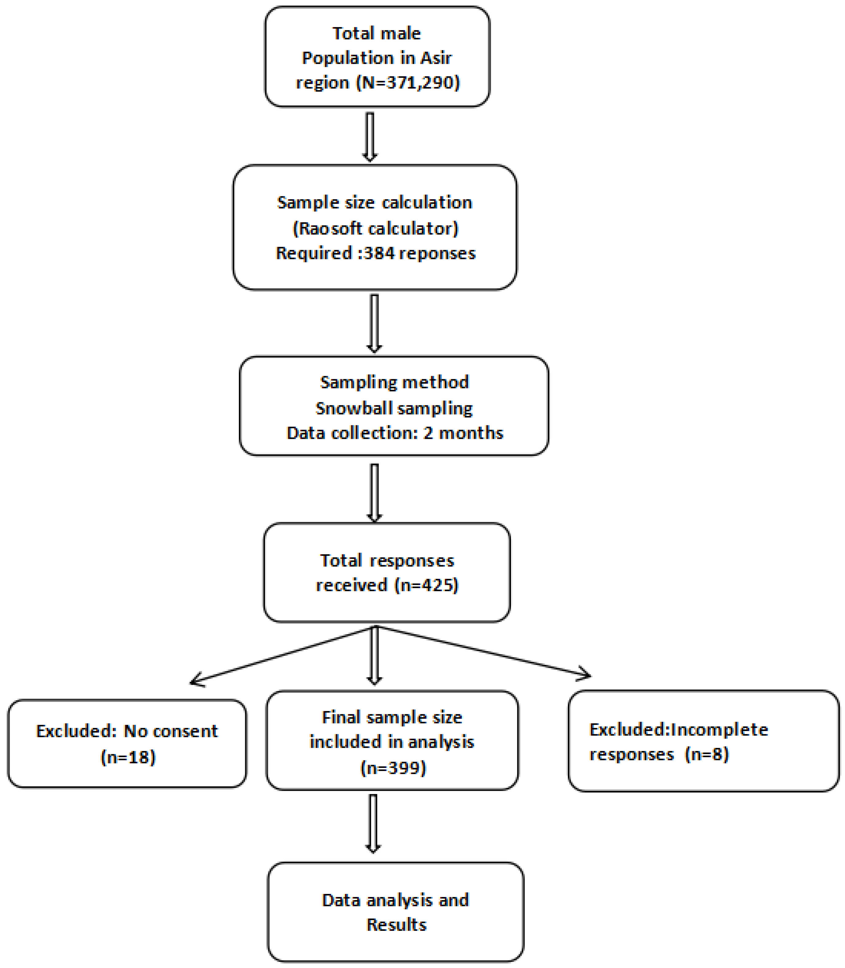 Healthcare 13 01962 g001