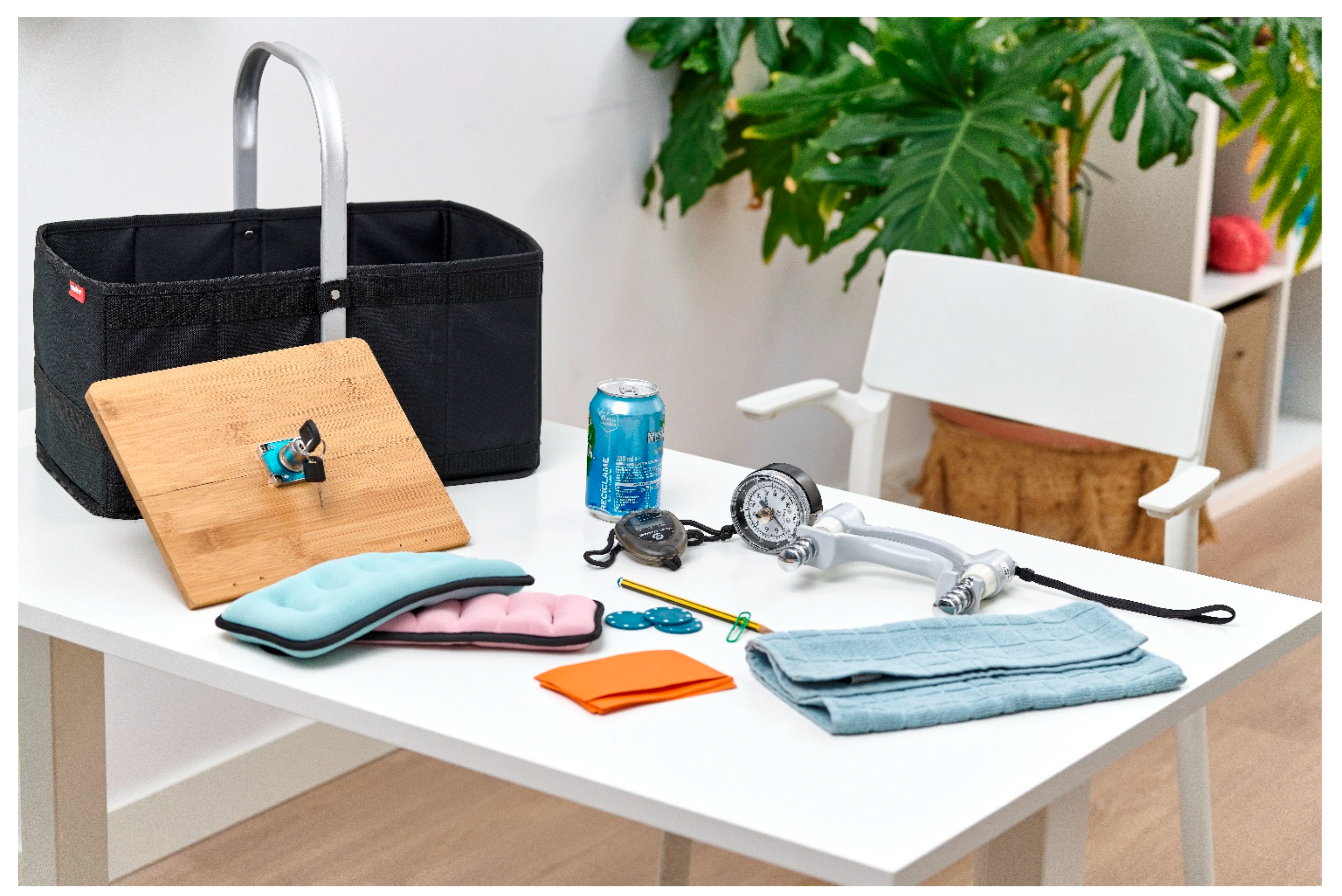 Healthcare 13 01969 g002 Healthcare 13 01969 g002