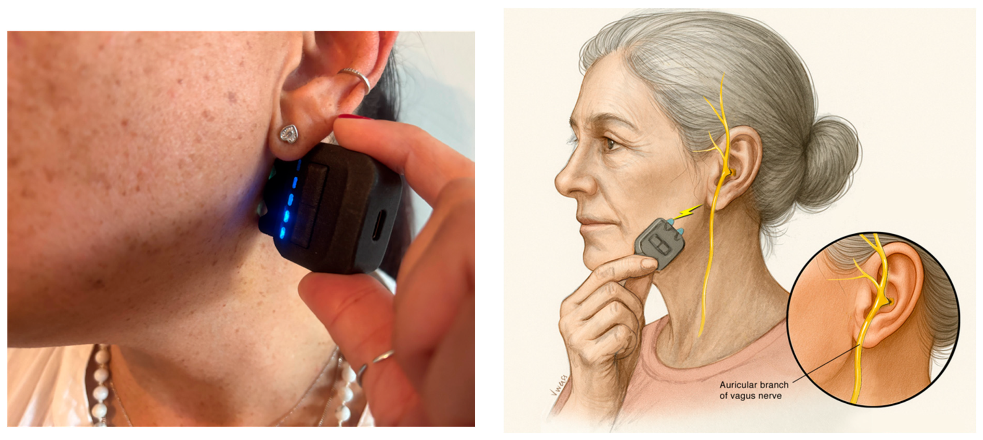 Healthcare 13 02030 g002